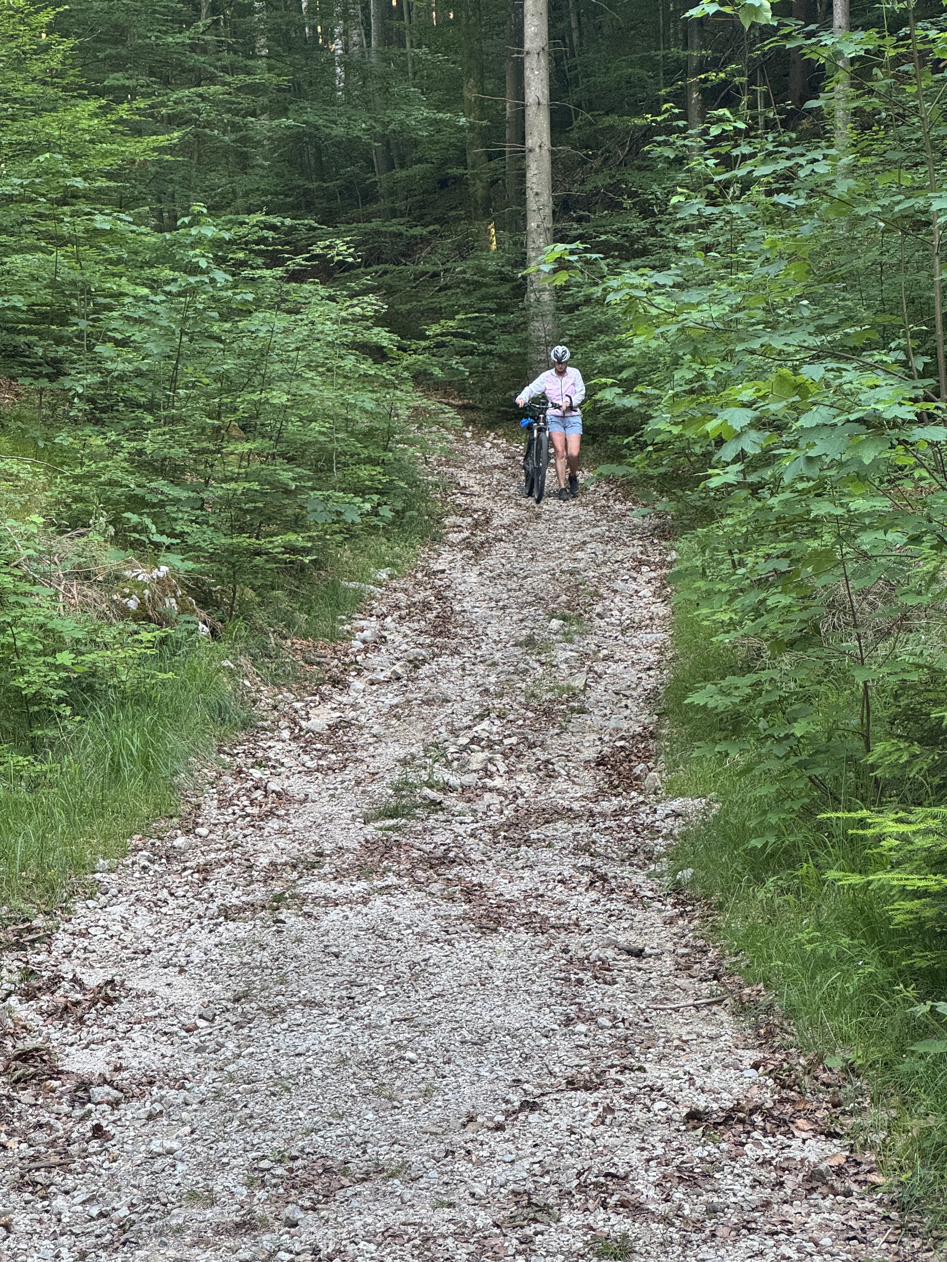 Unterer Kitzbergweg, Schwangau nach Schwangau