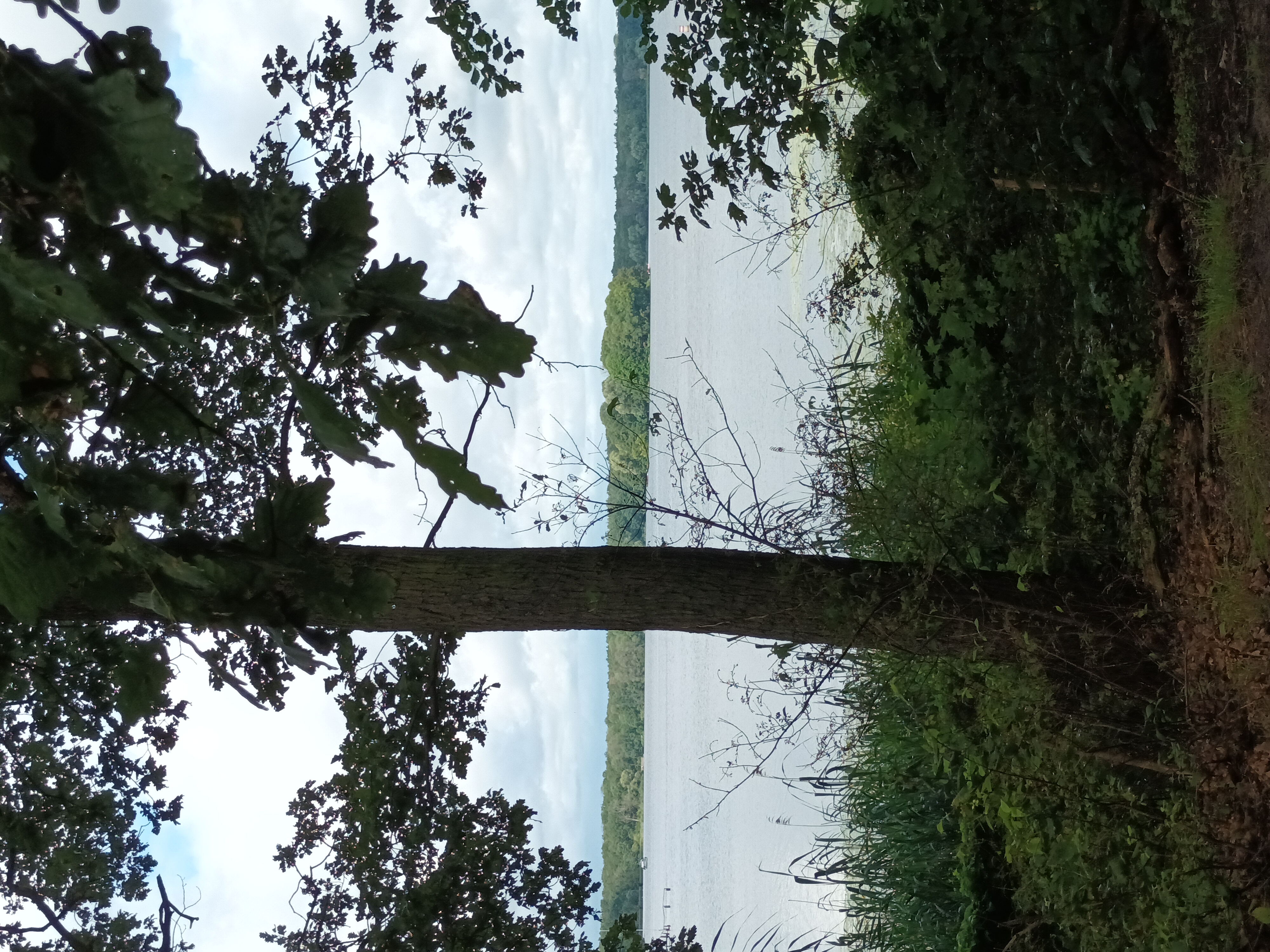 Unter den Kiefern nach Unter den Kiefern