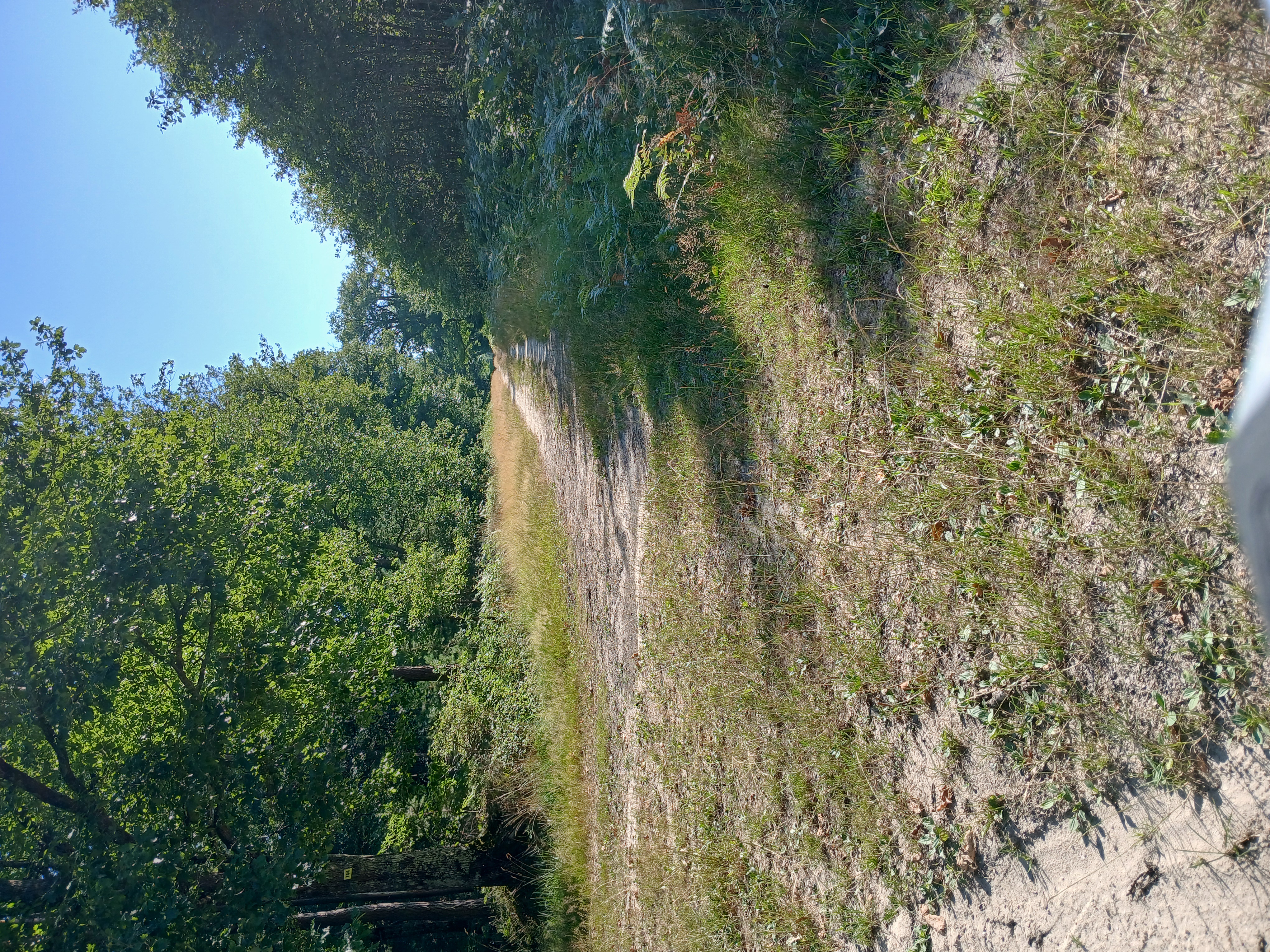 De Chemin du Lierreux à Chemin du Lierreux