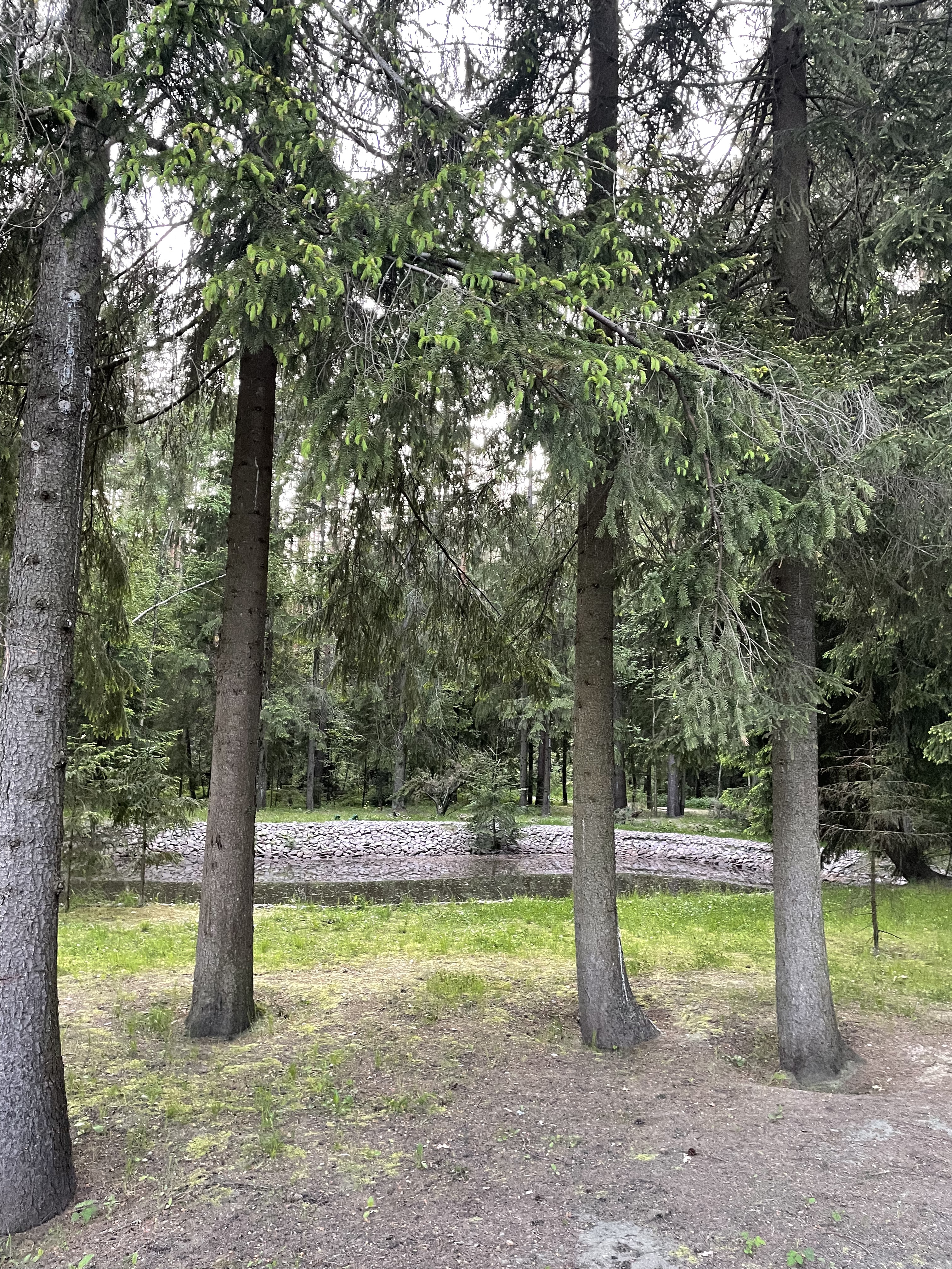 41К-319, Щеглово до Сиреневая линия, Щеглово
