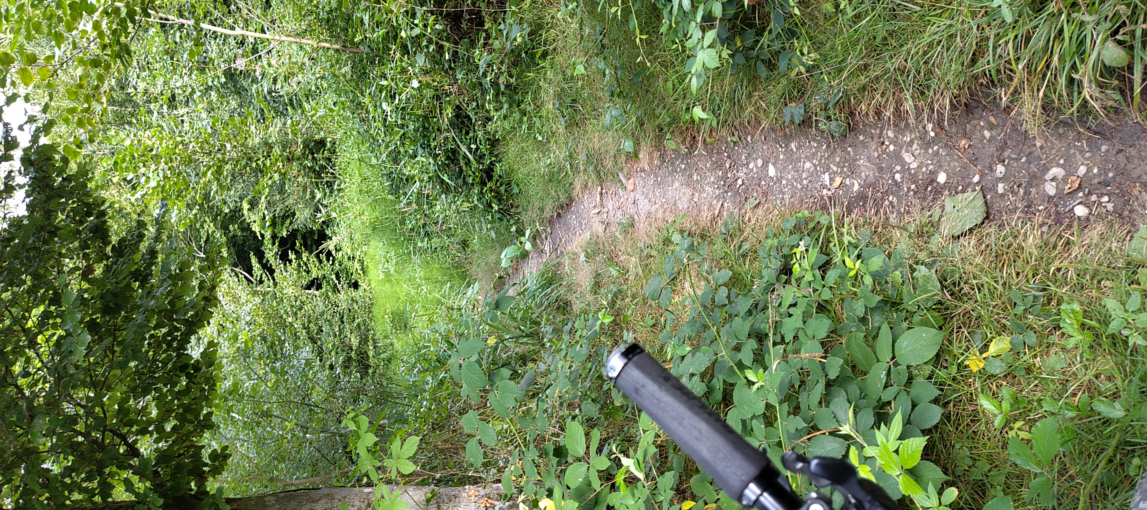 Photo 8 of the Bikemap route "Ballmoos-Wohlesee-Bremer"
