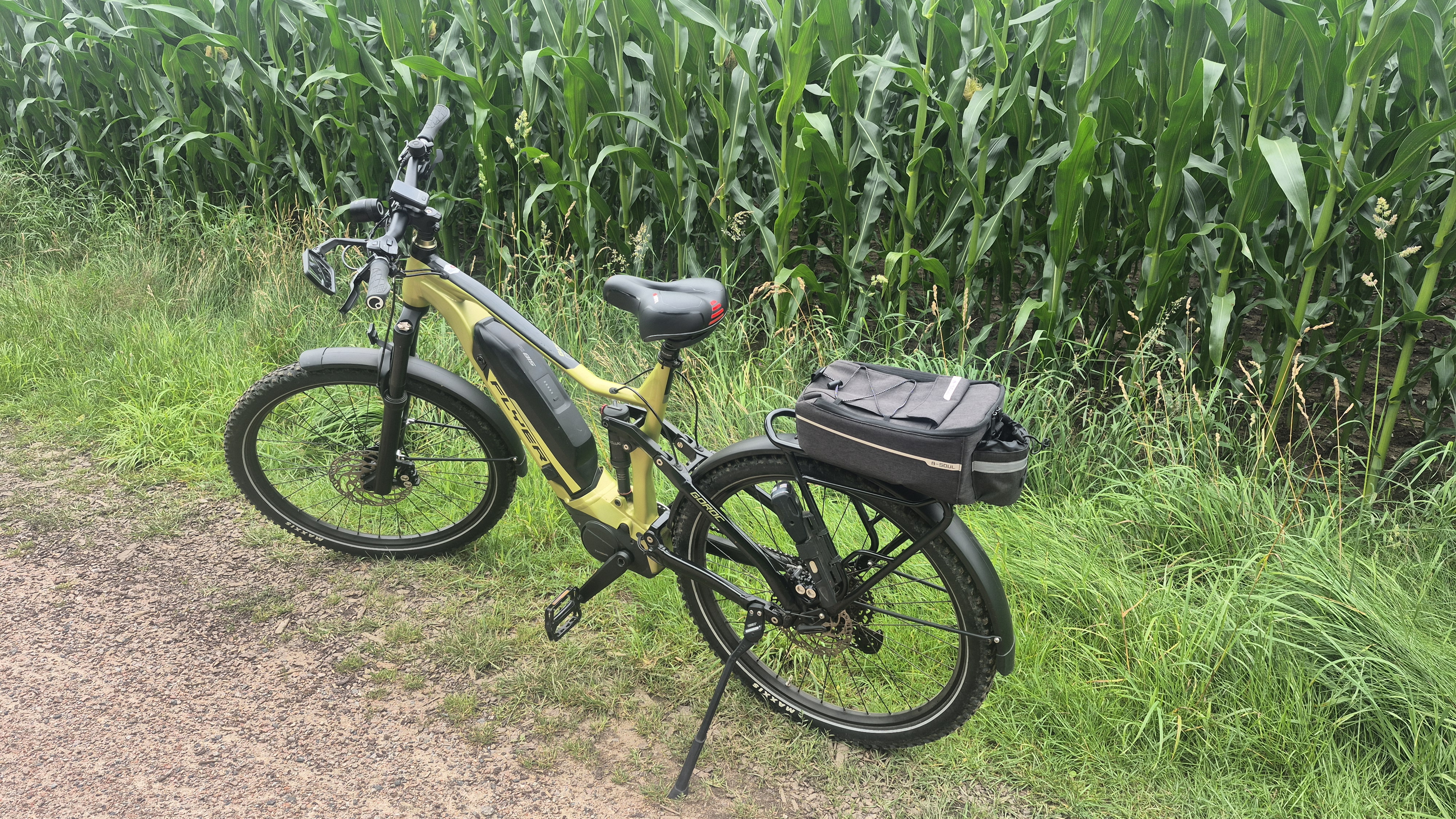 Neue Wiese nach Neue Wiese