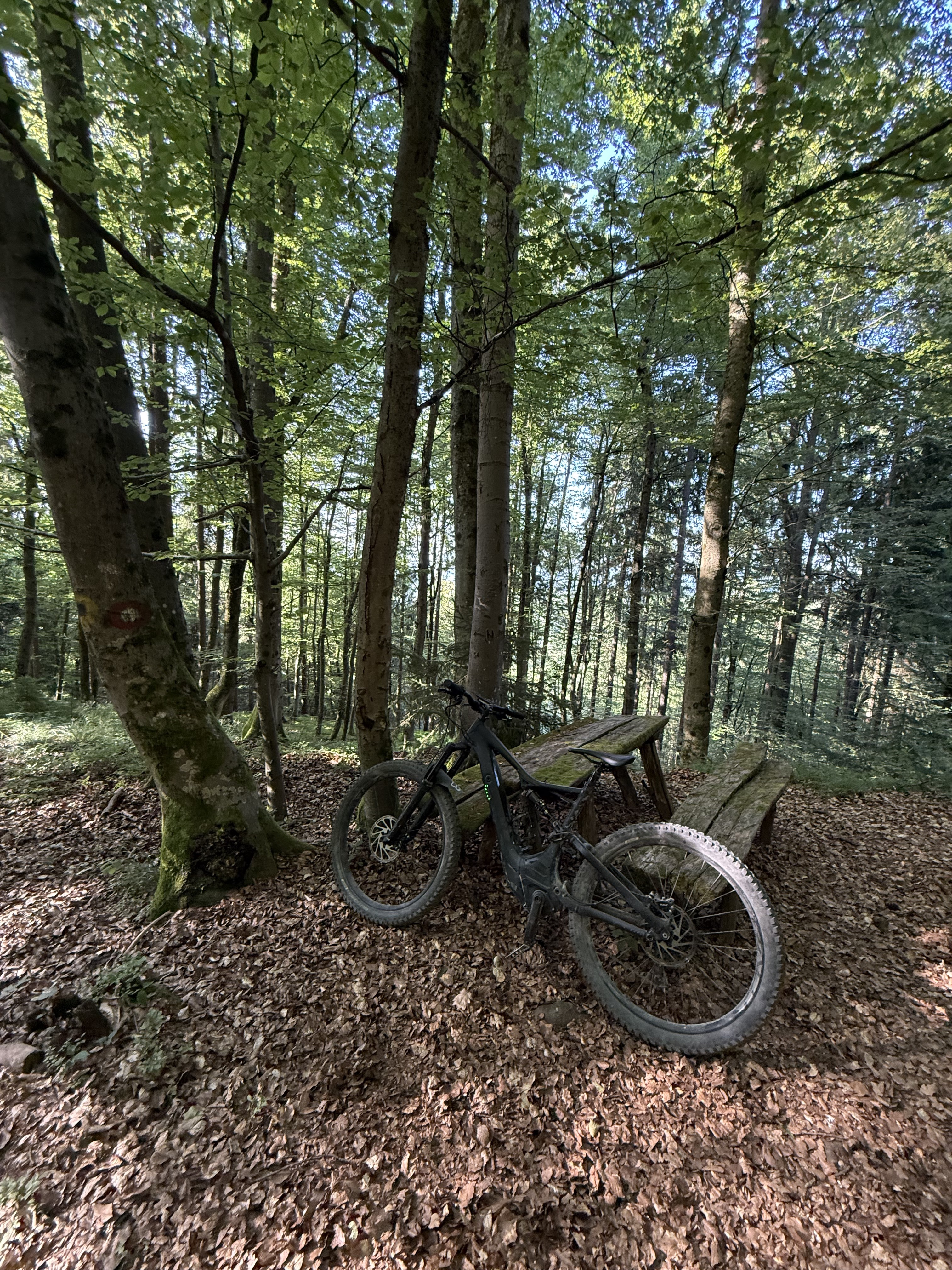 Jurčkova cesta, Ljubljana to Jurčkova cesta, Ljubljana