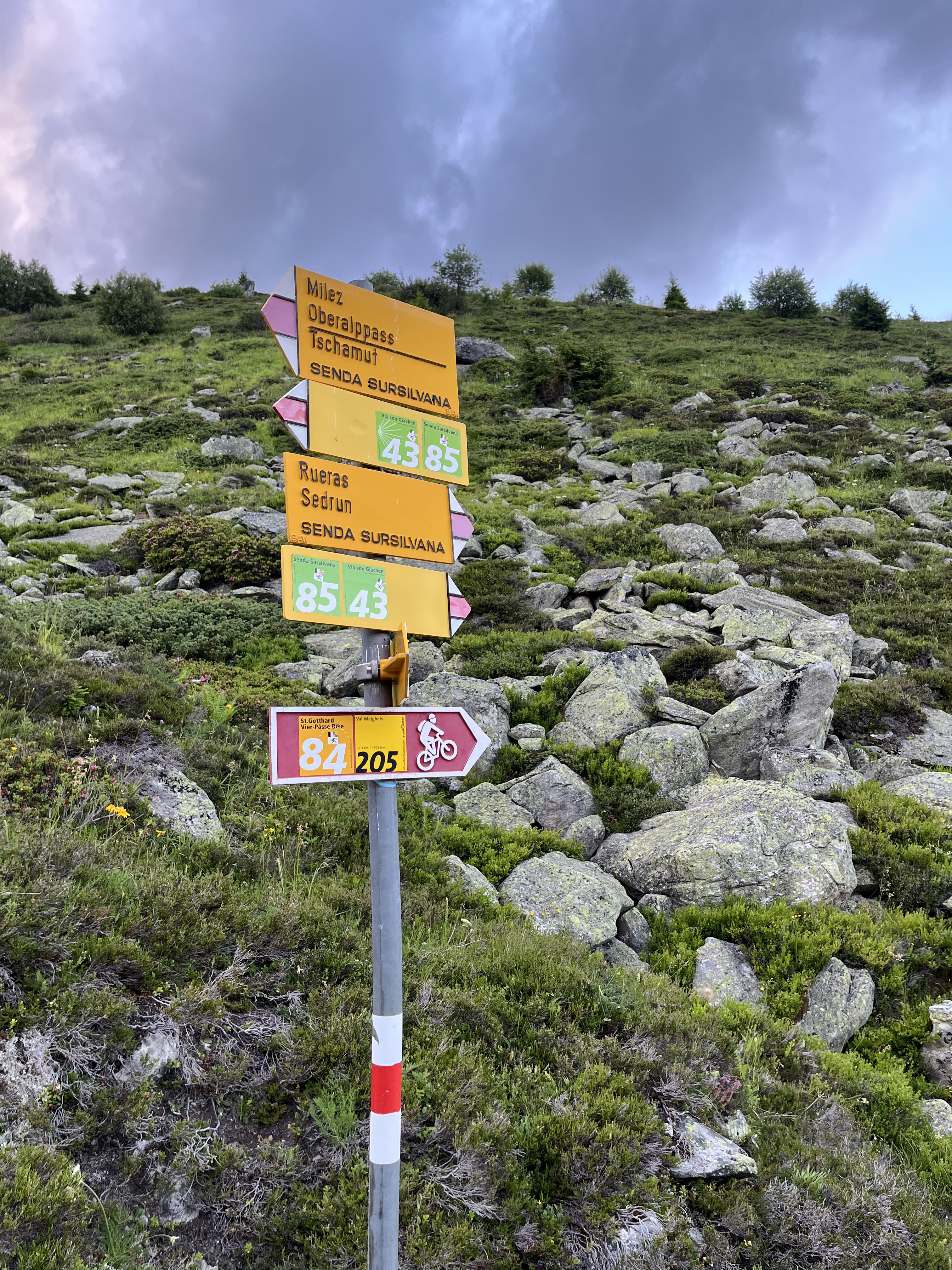 Oberalppass nach Sedrun,Oberalpbike Route 205/84