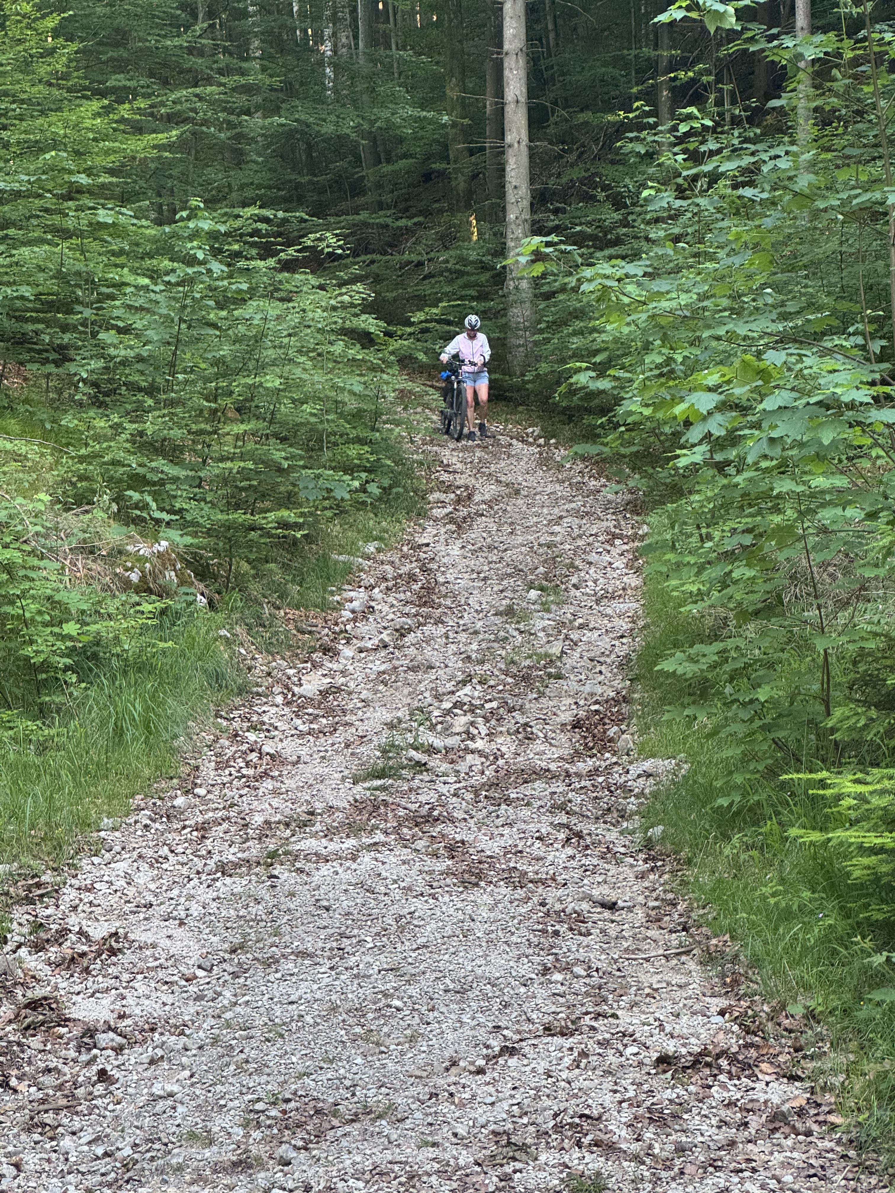 Unterer Kitzbergweg, Schwangau nach Schwangau