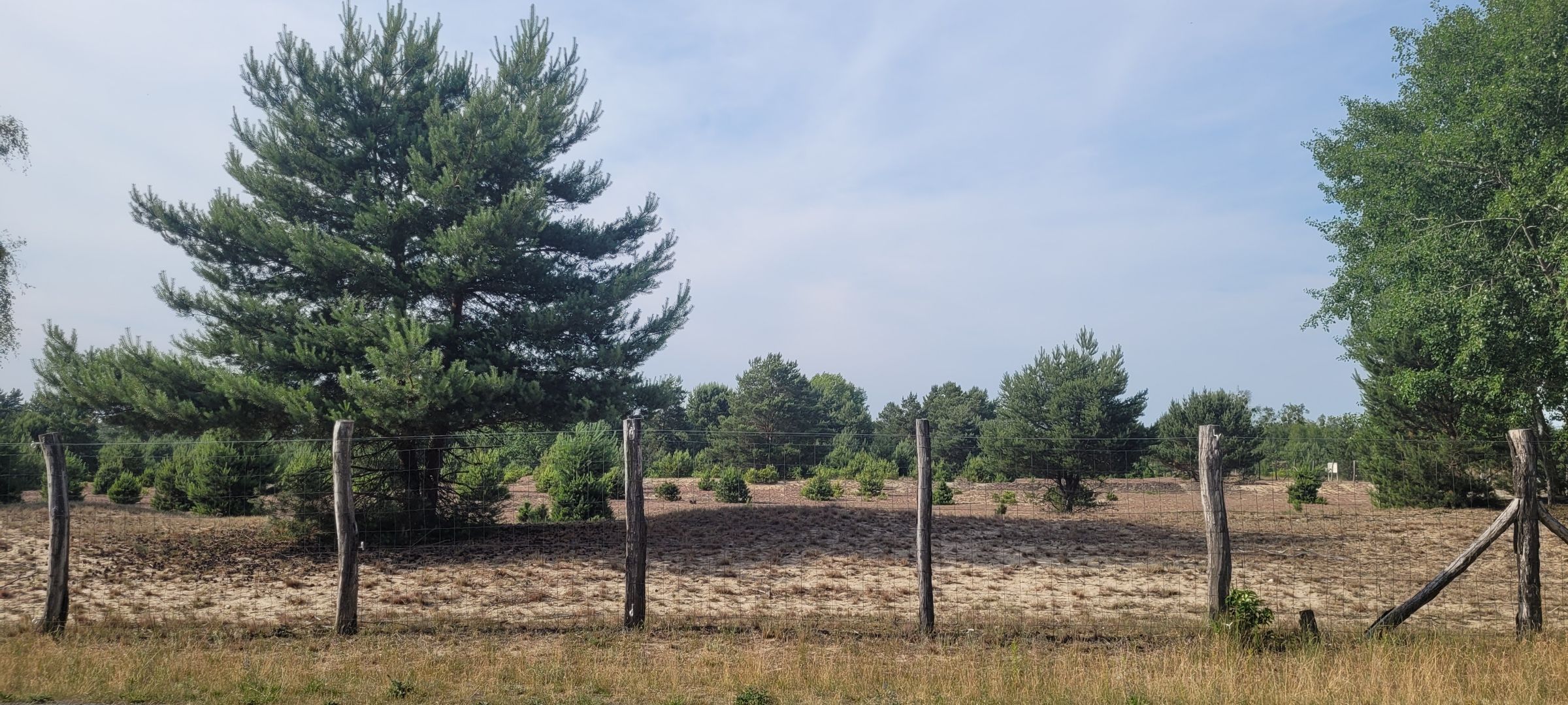 Hörstenweg nach Hörstenweg