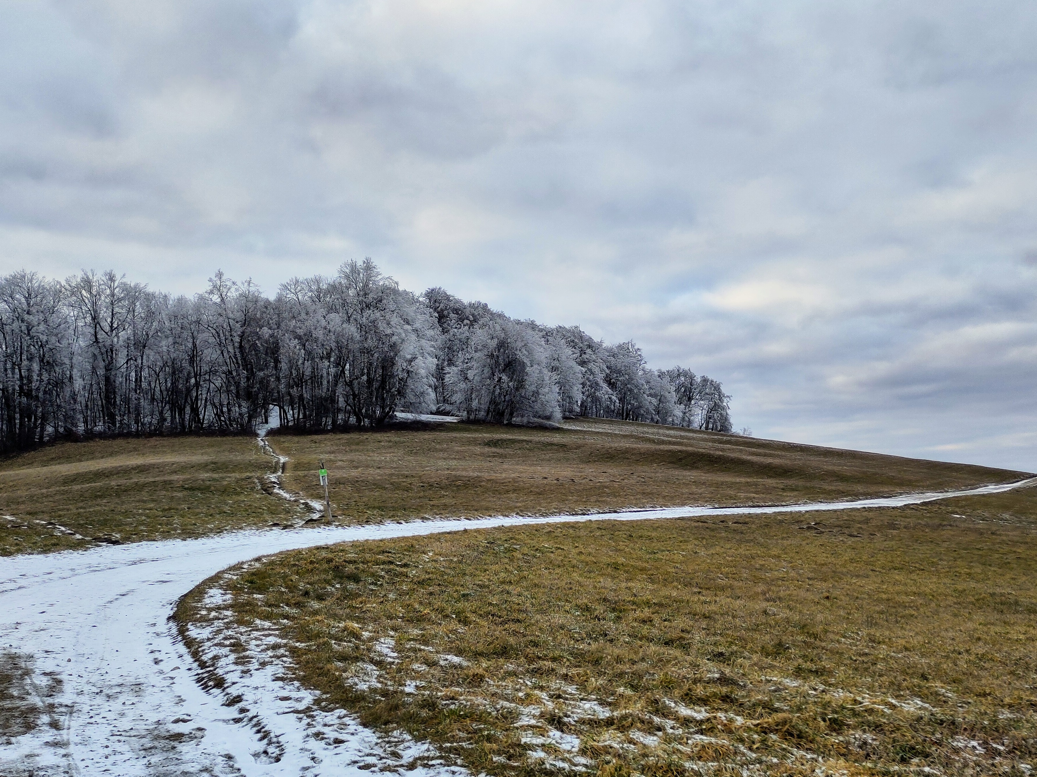 Leicht Winterliche Sofienalpen-Runde