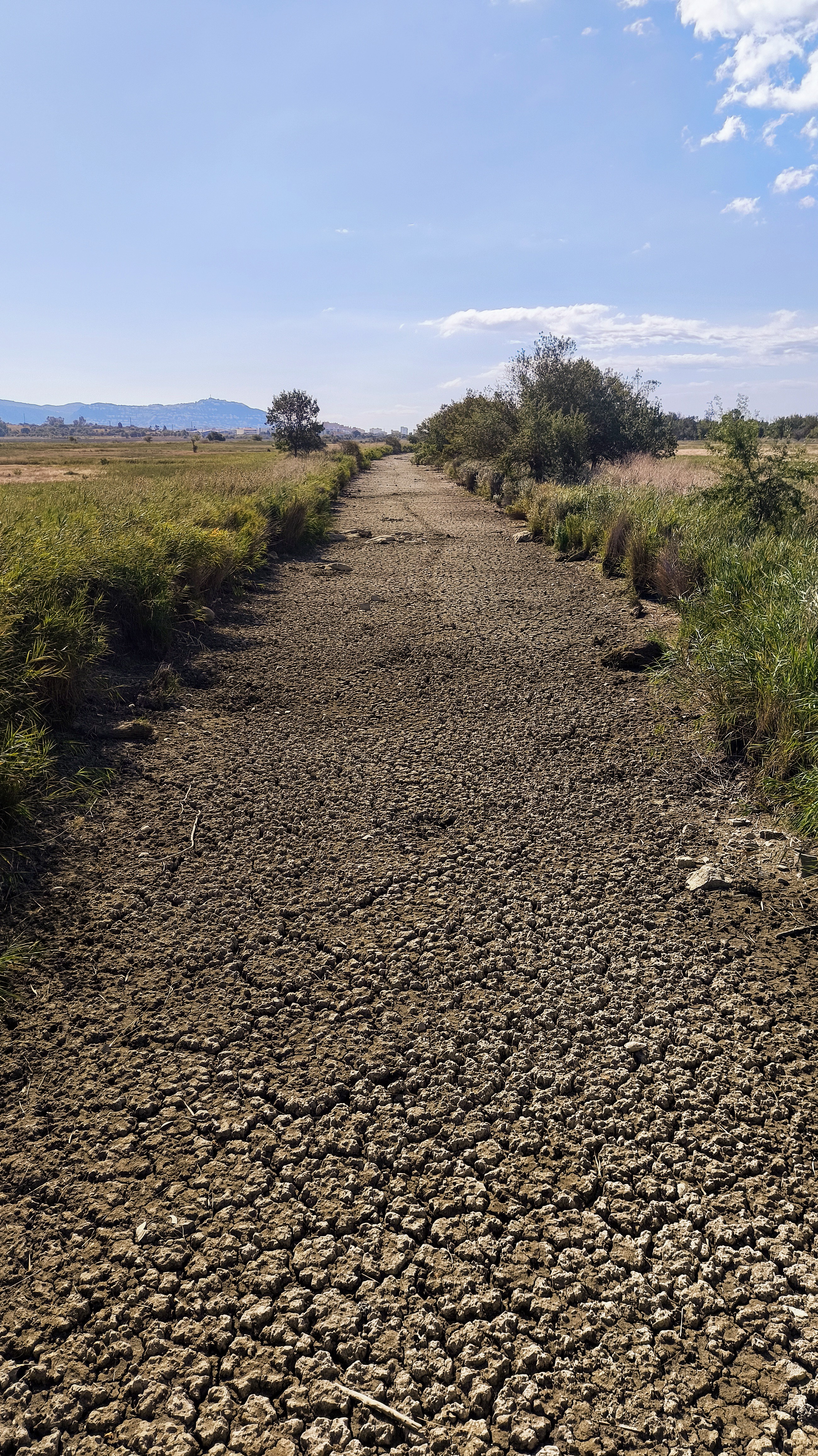 Foto 5 del percorso Bikemap "17 AIGUAMOLLS Roses Pont-Da-Vinci Castelló Ermita-de-St-Antoni Cortalets Aguait dels Capons Passera de la Muga Empuriabrava Ciutadella" Foto 5 del percorso Bikemap "17 AIGUAMOLLS Roses Pont-Da-Vinci Castelló Ermita-de-St-Antoni Cortalets Aguait dels Capons Passera de la Muga Empuriabrava Ciutadella"