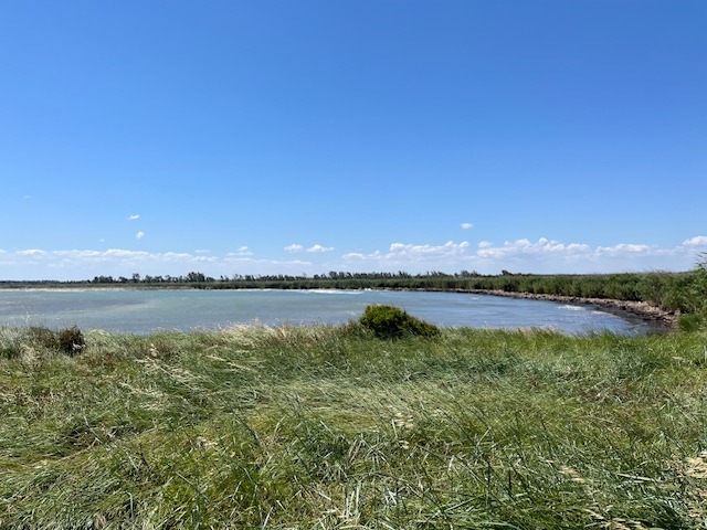 Riserva Naturale di Torre Guaceto