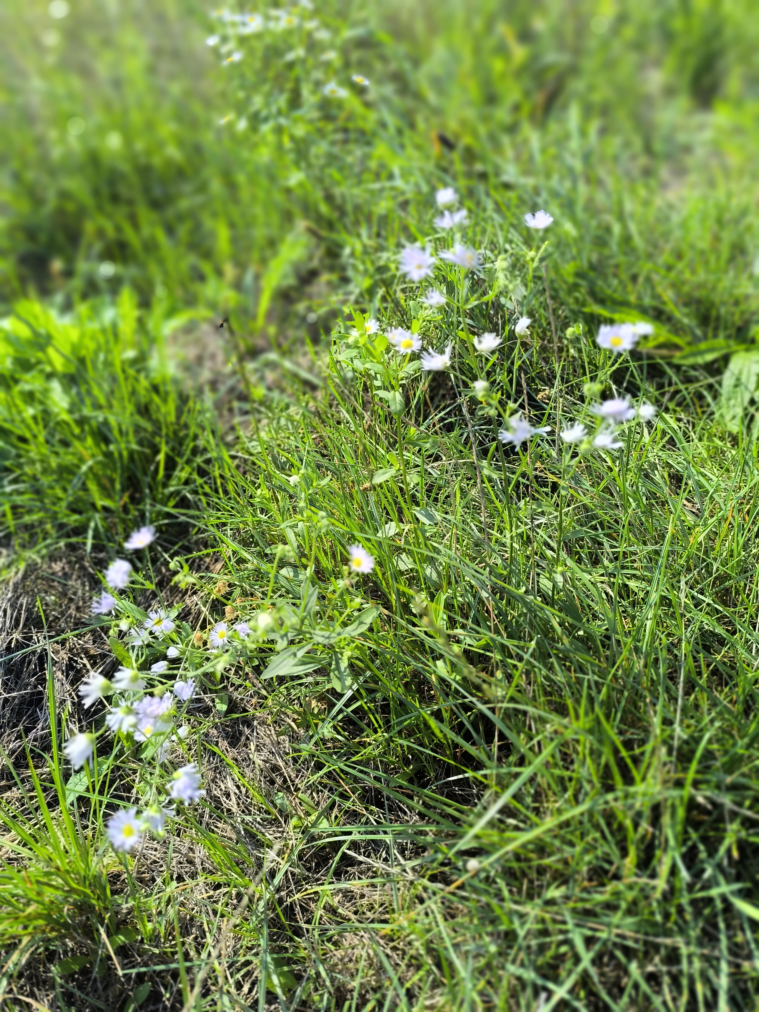 Foto 4 der Bikemap-Route "Kazanská 12152/3 do Kazanská 12152/3" Foto 4 der Bikemap-Route "Kazanská 12152/3 do Kazanská 12152/3"