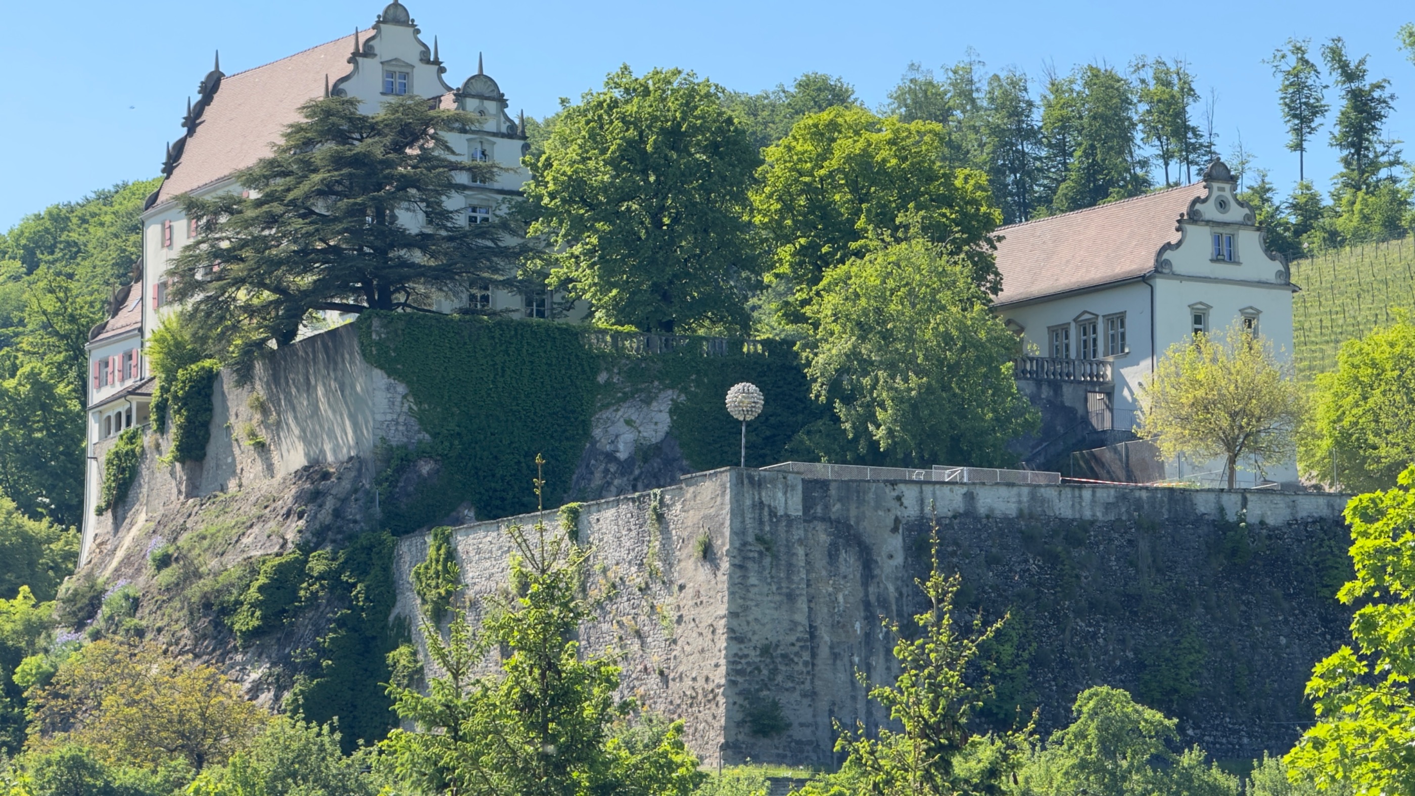 250511 Staffelegg Runde