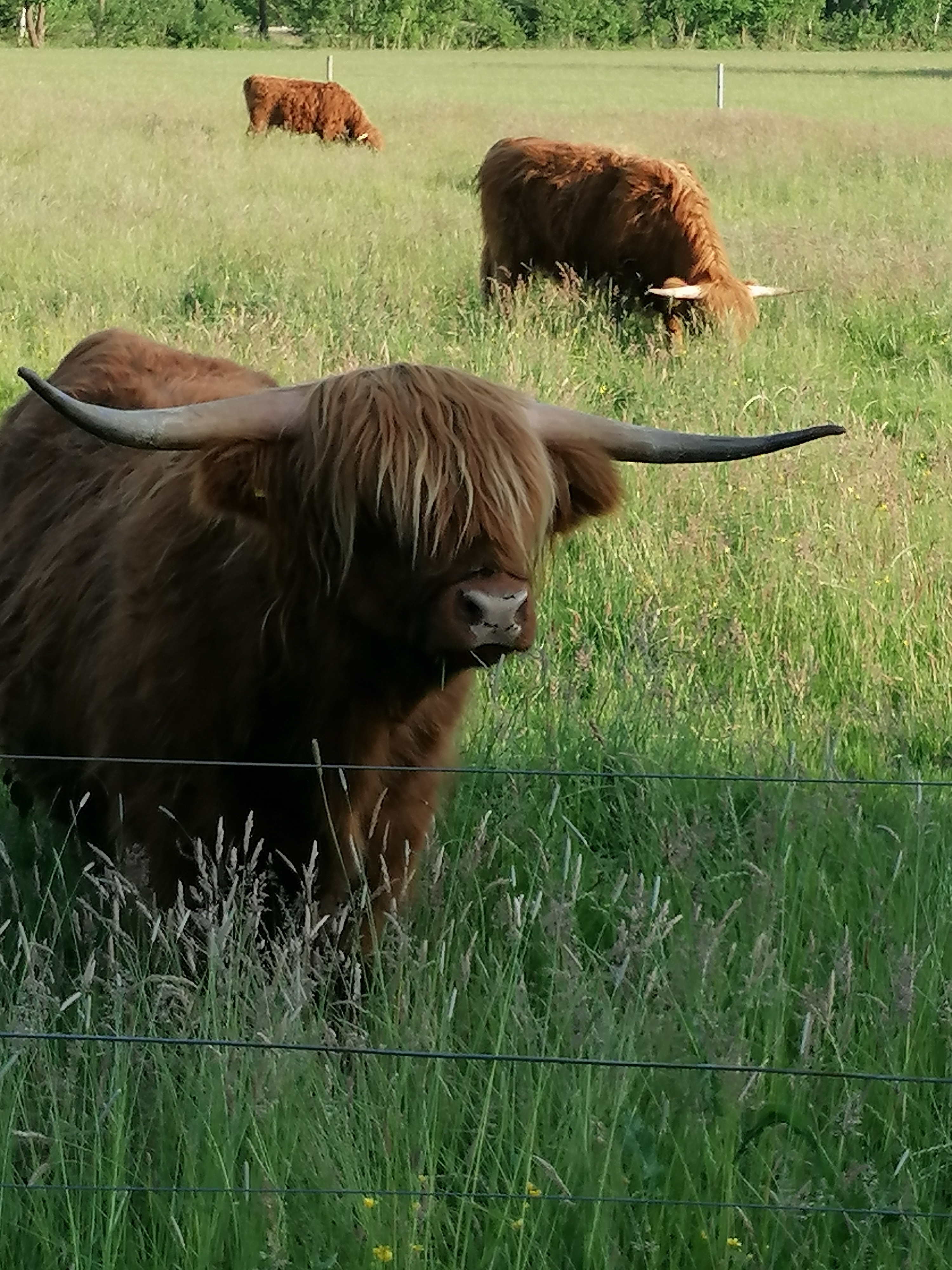 Tour um Heiligenrode Einstieg Brückenradweg