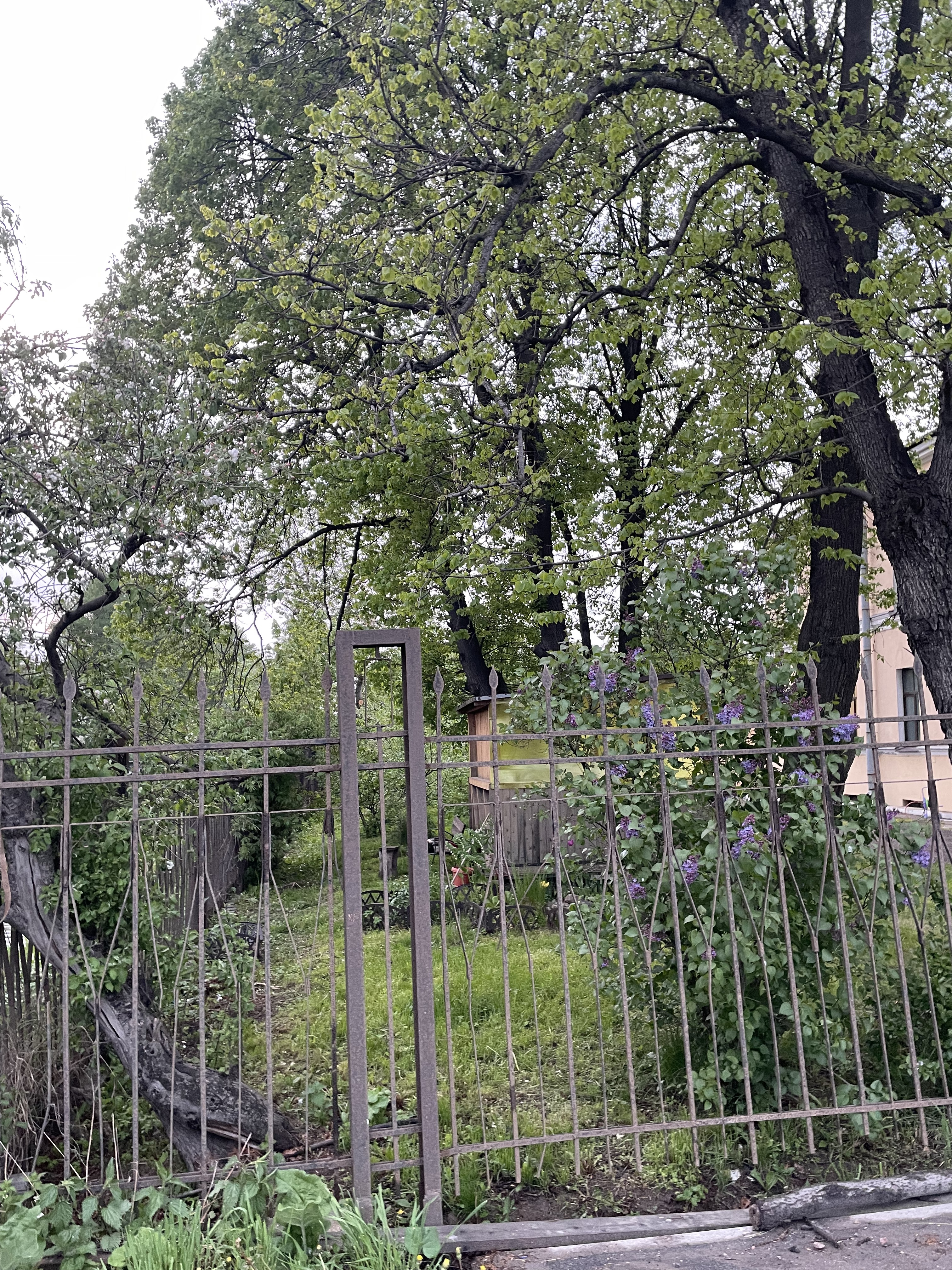 Феодосийская улица, Санкт-Петербург до улица Передовиков, Санкт-Петербург