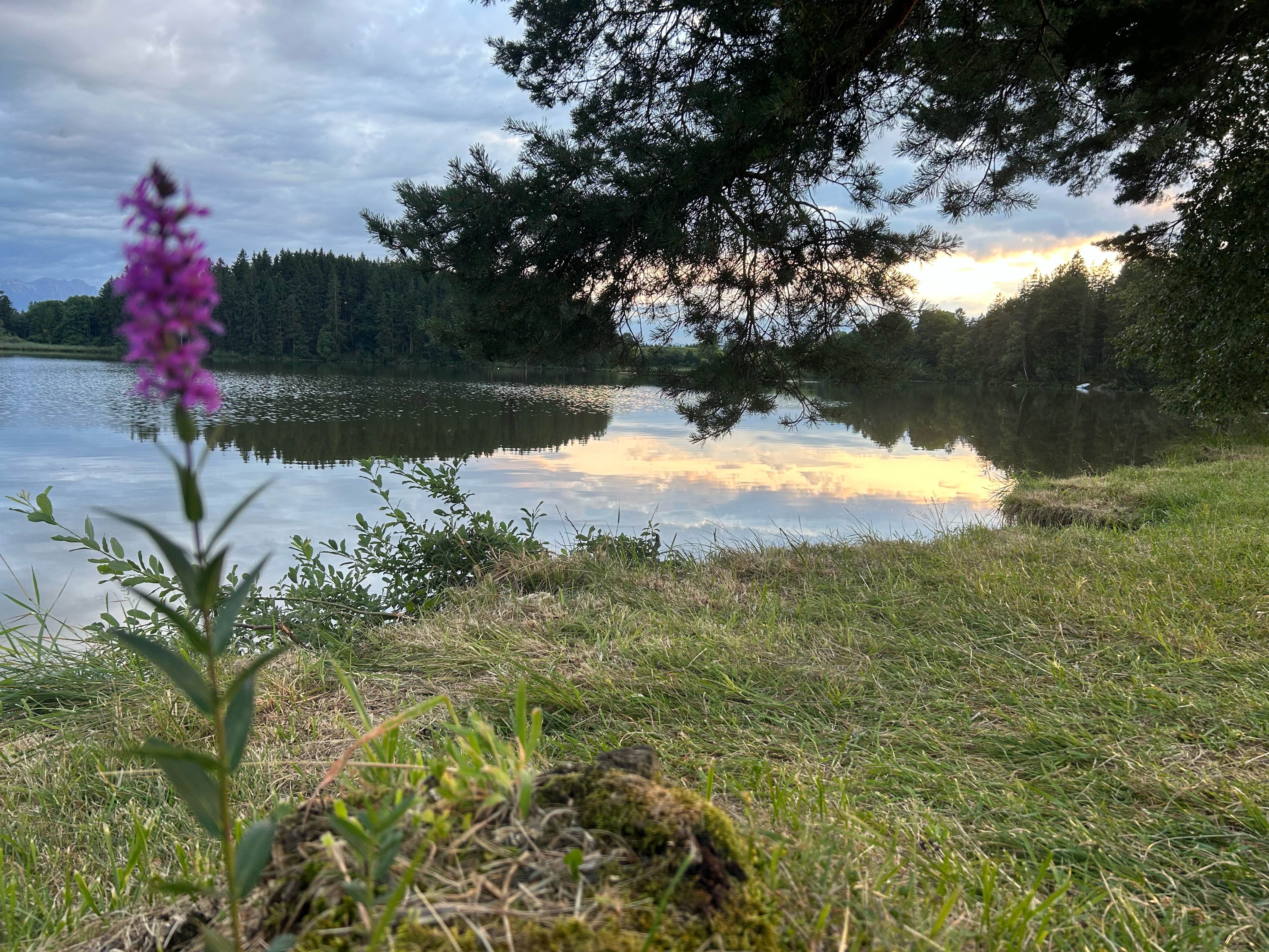 Schmutterweiherrunde