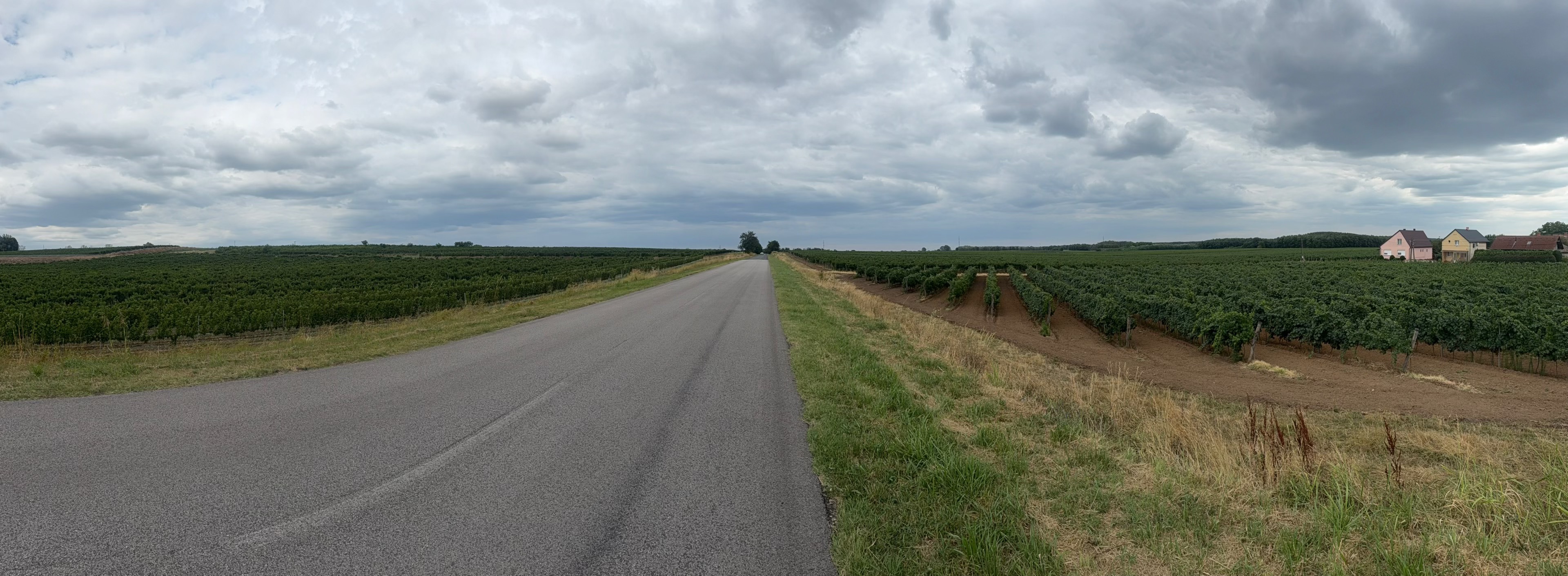 Foto 8 del percorso Bikemap "Árpád utca, Cegléd - Mizsei út, Cegléd"