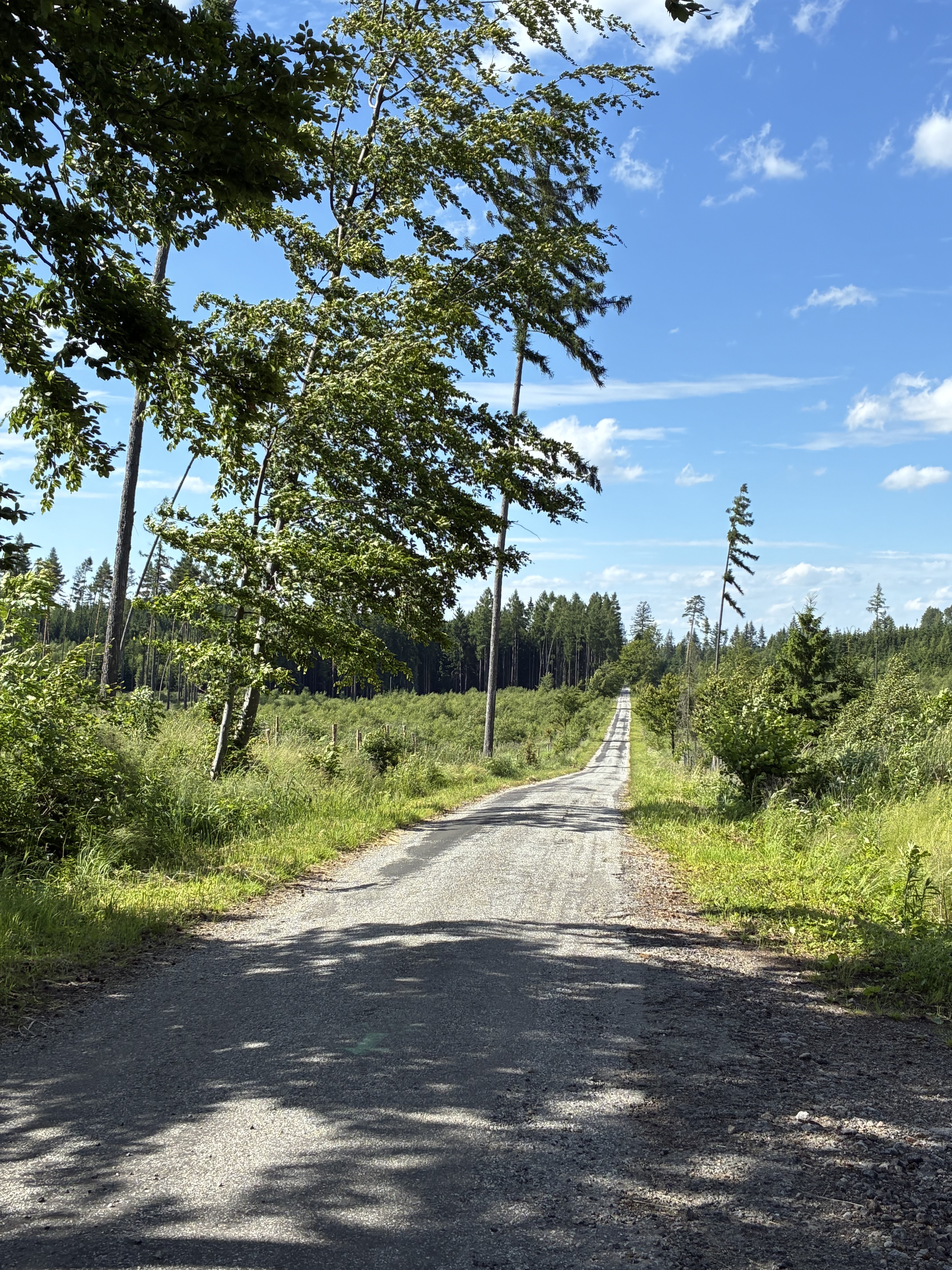 Foto 7 der Bikemap-Route "Brtnická, Йиглава до Sídliště Vajgar, Йиндржихув-Градец"