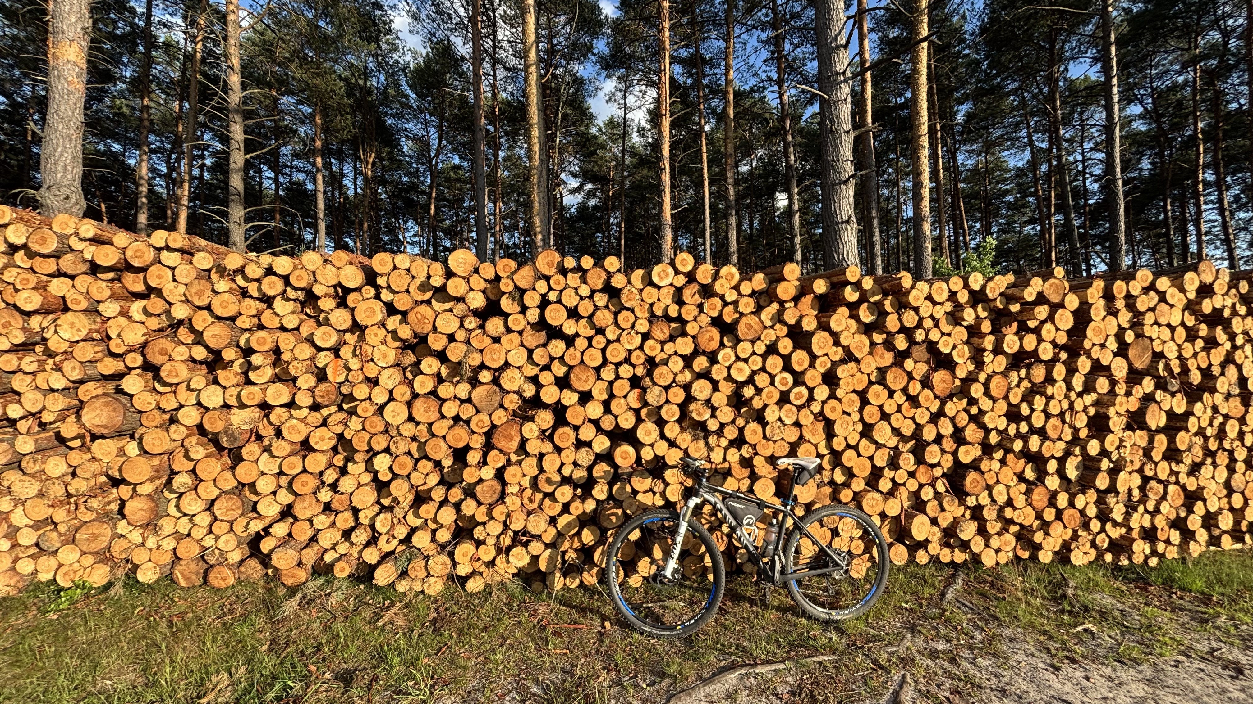 Foto 7 der Bikemap-Route "Króla J Sobieskiego, Puszcza Mariańska do Króla J Sobieskiego, Puszcza Mariańska"