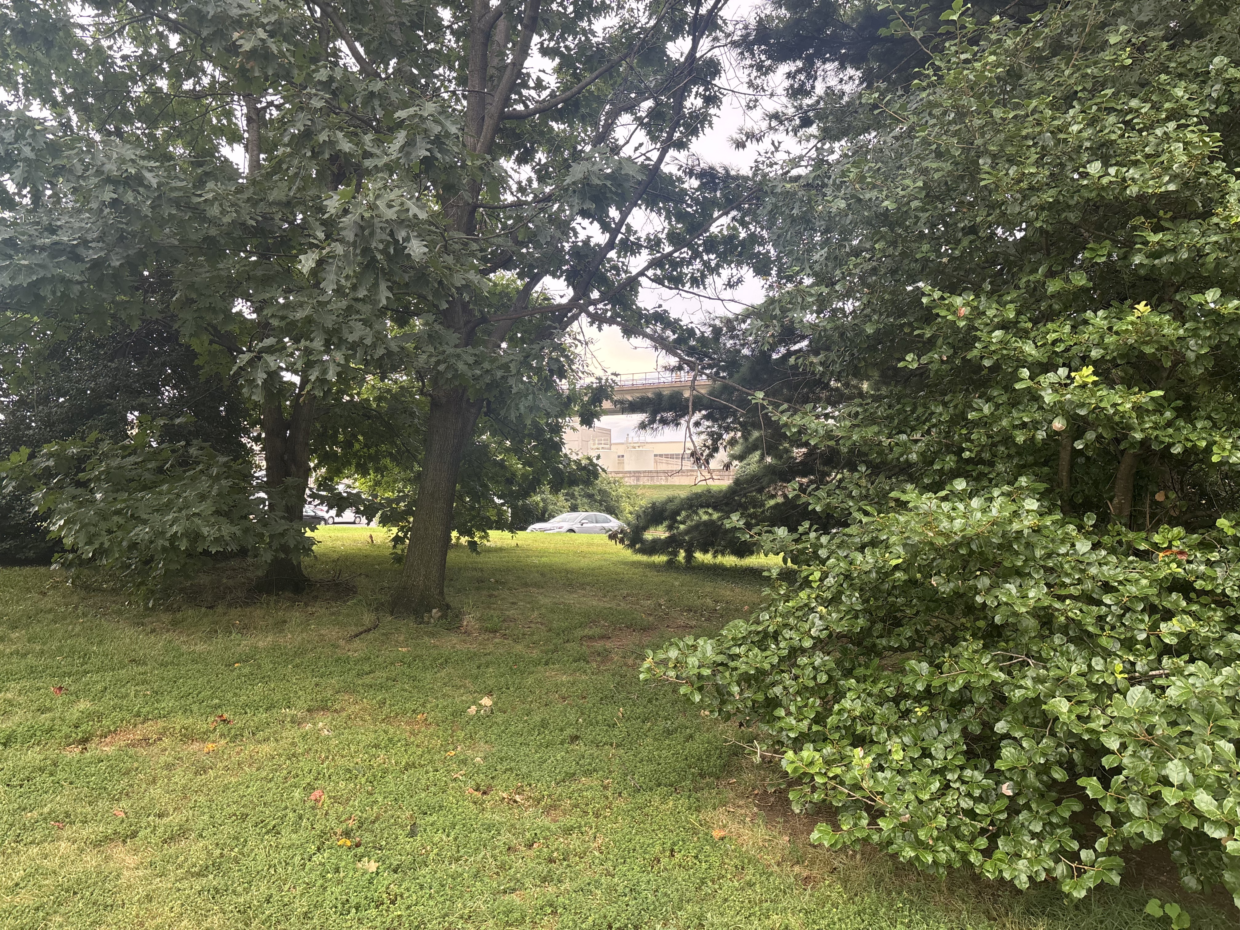Strand St, Alexandria to West Potomac Park, Washington