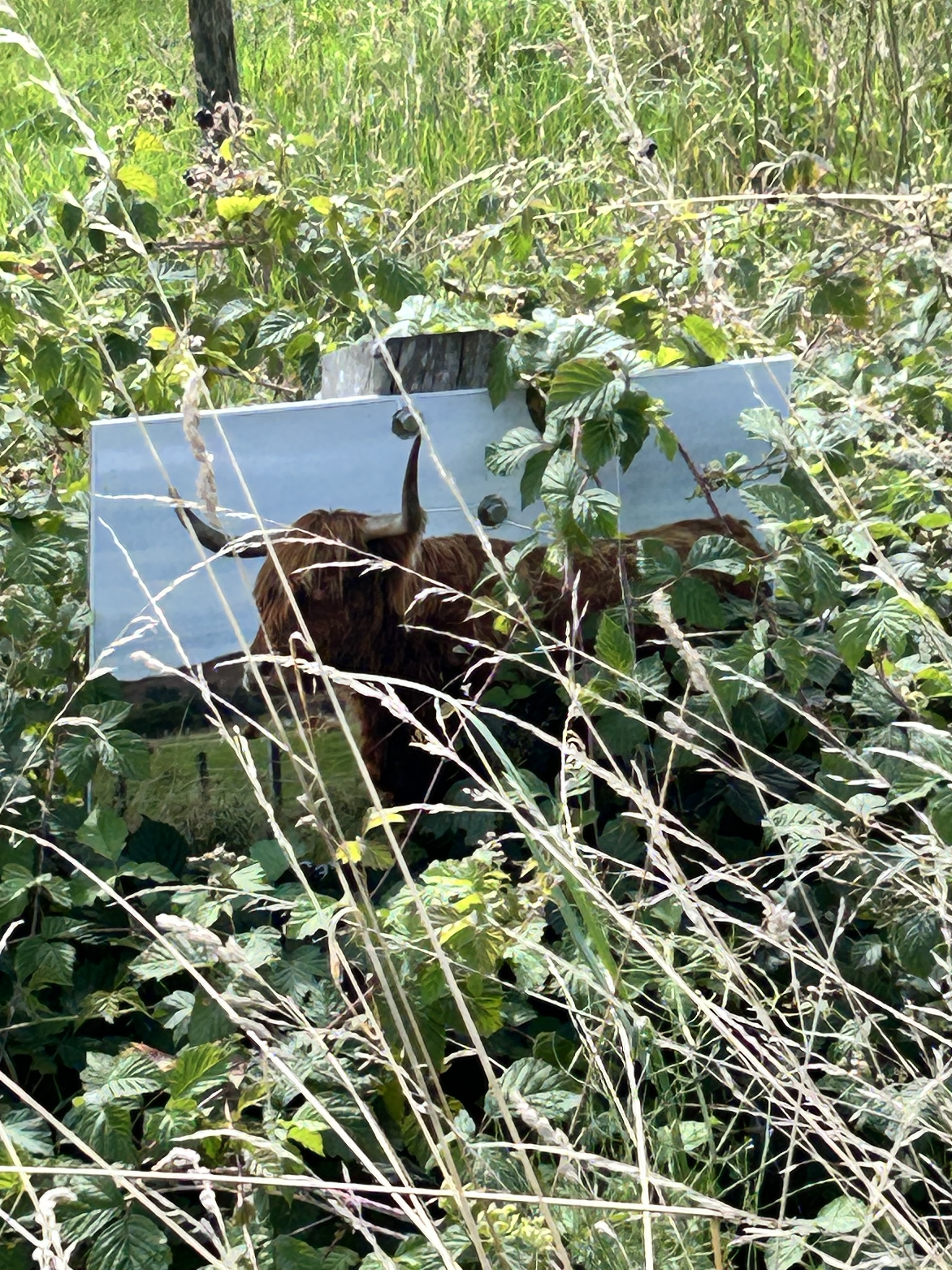 Foto 4 der Bikemap-Route "District 01, Doesburg nach District 01, Doesburg" Foto 4 der Bikemap-Route "District 01, Doesburg nach District 01, Doesburg"