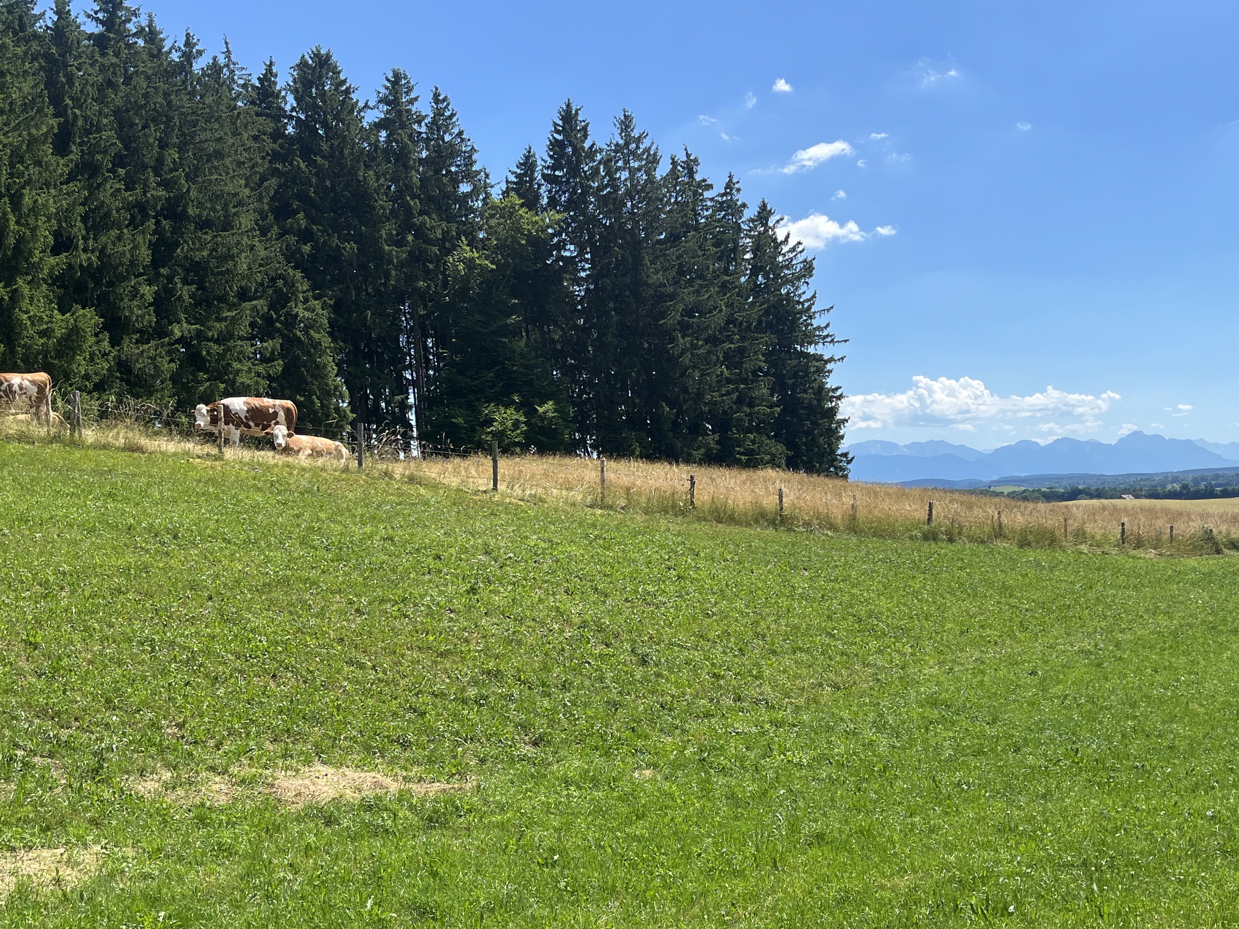 Kinsau to Hohenfurch