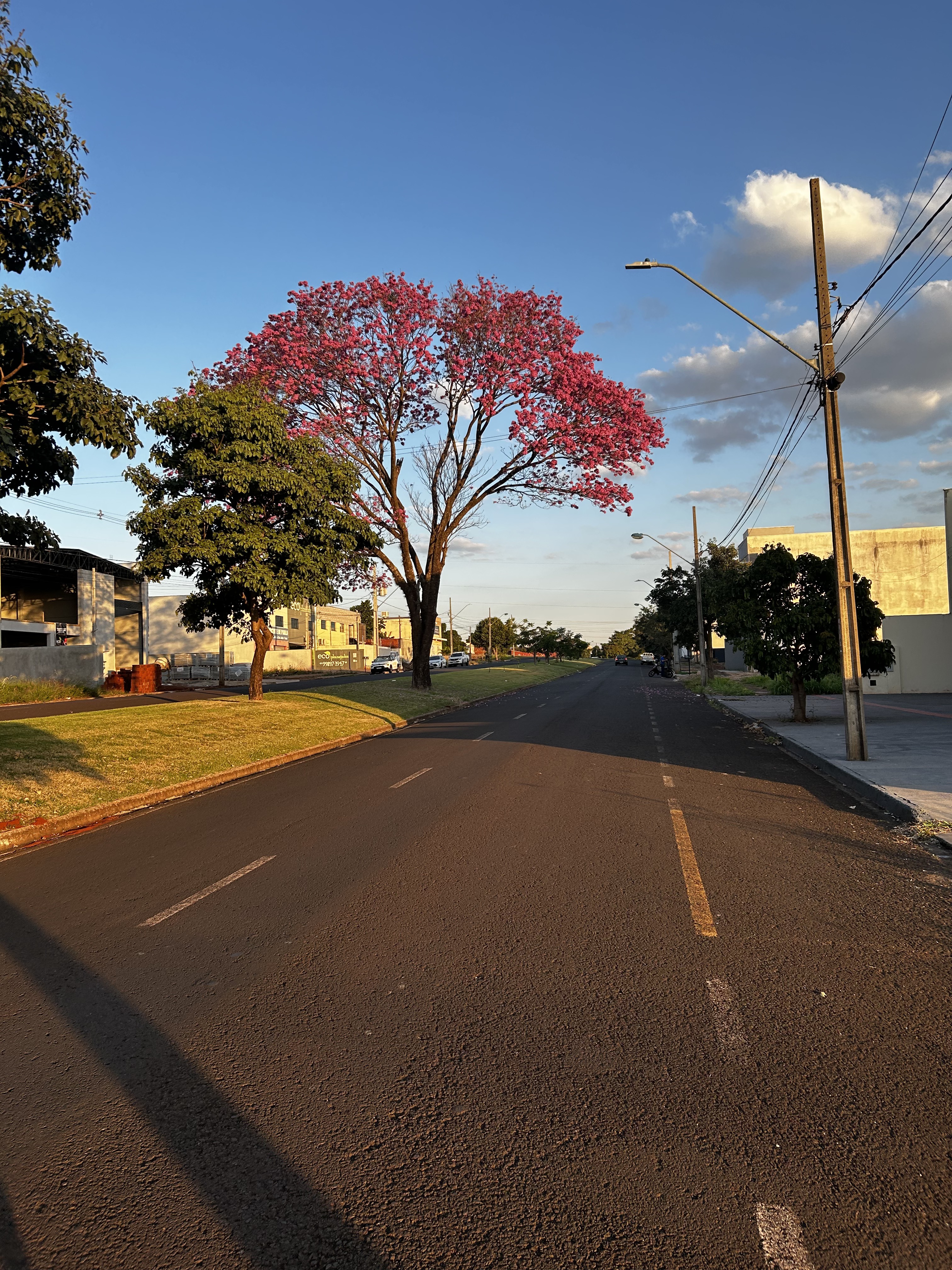 Rua Toshimi Ishikawa, Maringá a Rua Toshimi Ishikawa, Maringá