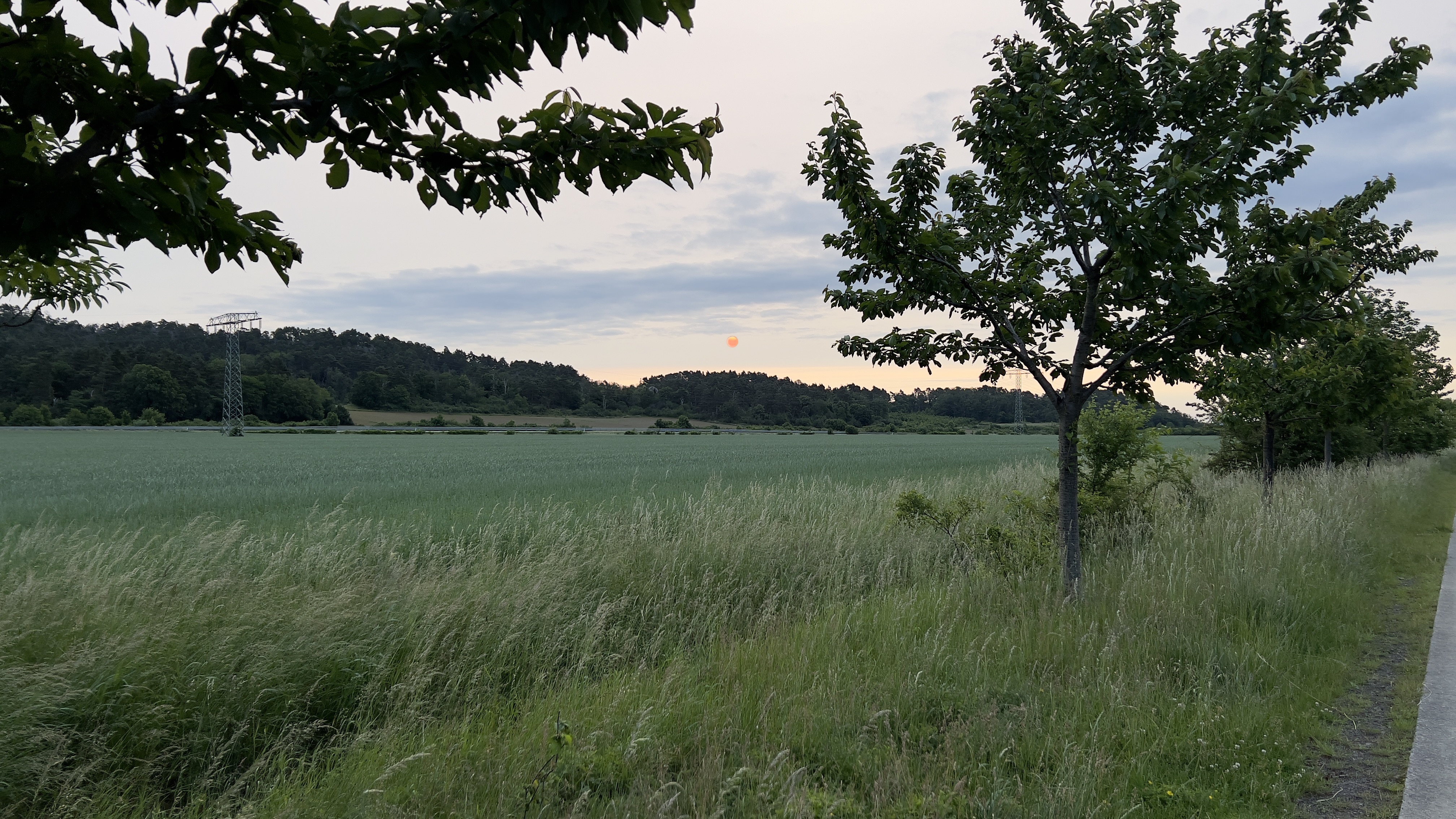 Geschwister-Scholl-Straße, Blankenburg (Harz) nach Geschwister-Scholl-Straße, Blankenburg (Harz)