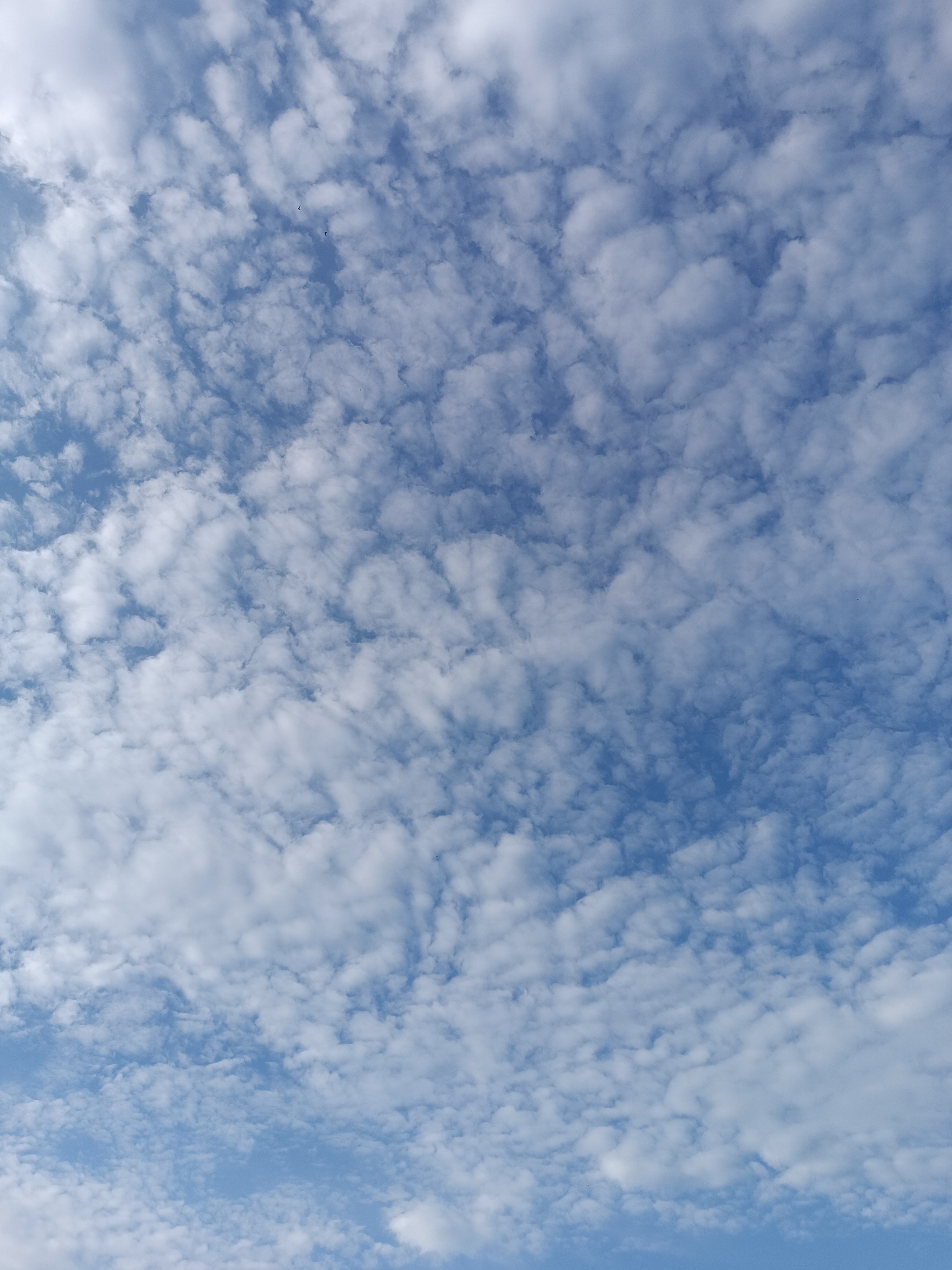 От улица Университетская Набережная до улица Университетская Набережная