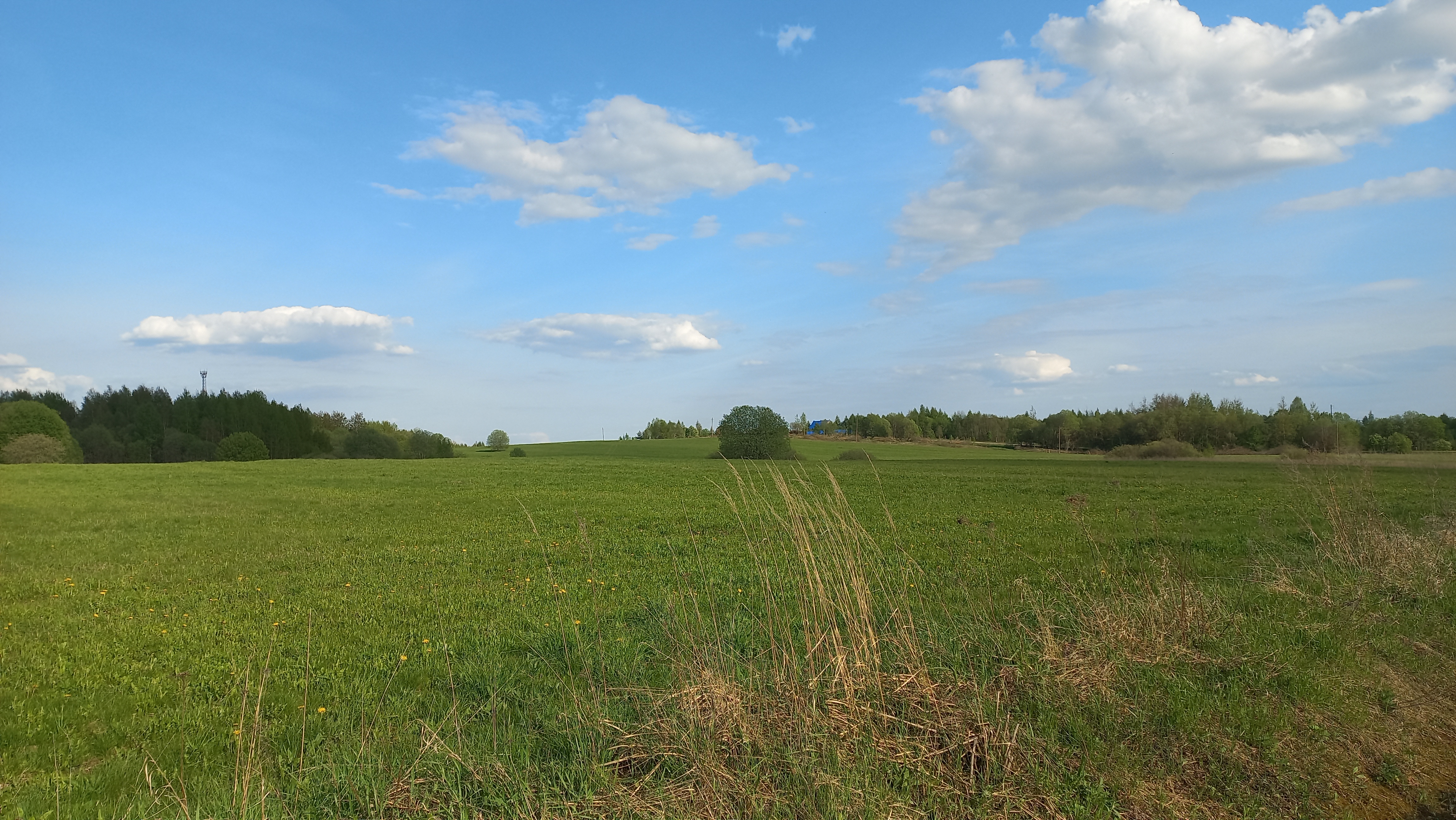 Photo 8 of the Bikemap route "Переславль - Милитино и обратно"