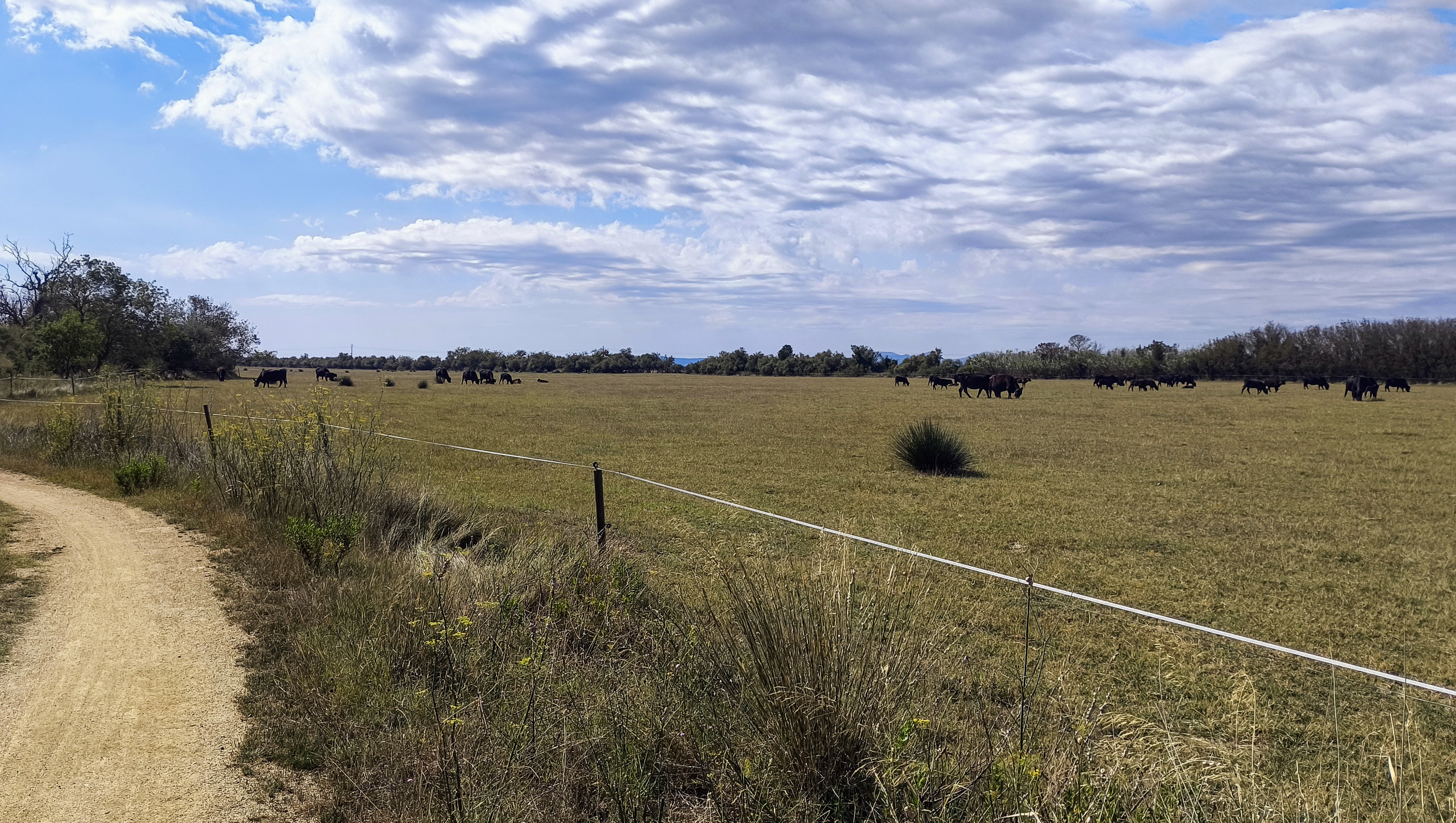 Foto 3 del percorso Bikemap "17 AIGUAMOLLS Roses Pont-Da-Vinci Castelló Ermita-de-St-Antoni Cortalets Aguait dels Capons Passera de la Muga Empuriabrava Ciutadella" Foto 3 del percorso Bikemap "17 AIGUAMOLLS Roses Pont-Da-Vinci Castelló Ermita-de-St-Antoni Cortalets Aguait dels Capons Passera de la Muga Empuriabrava Ciutadella"