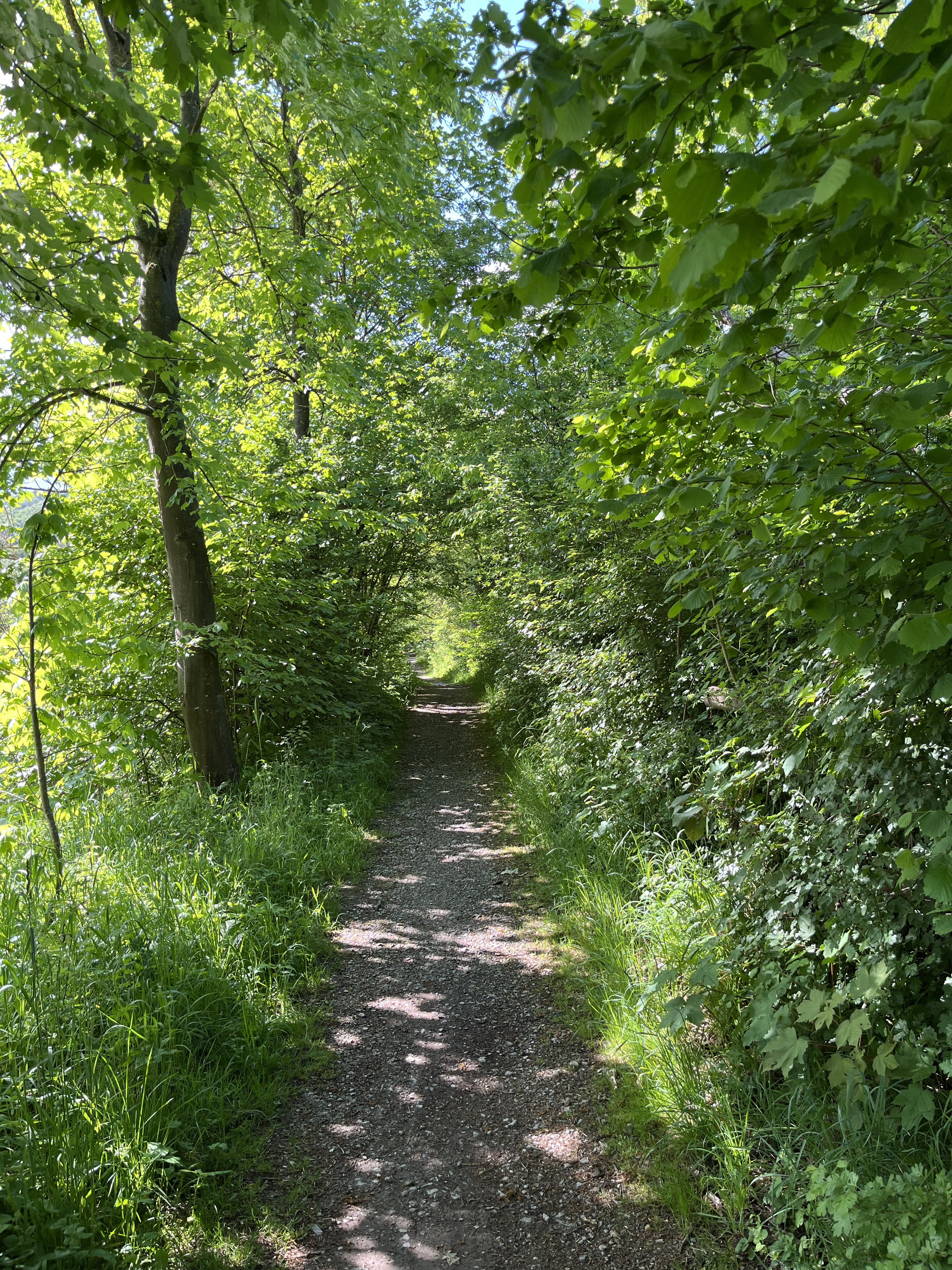 Goethestraße, Eisenach nach Planstraße, Amt Creuzburg