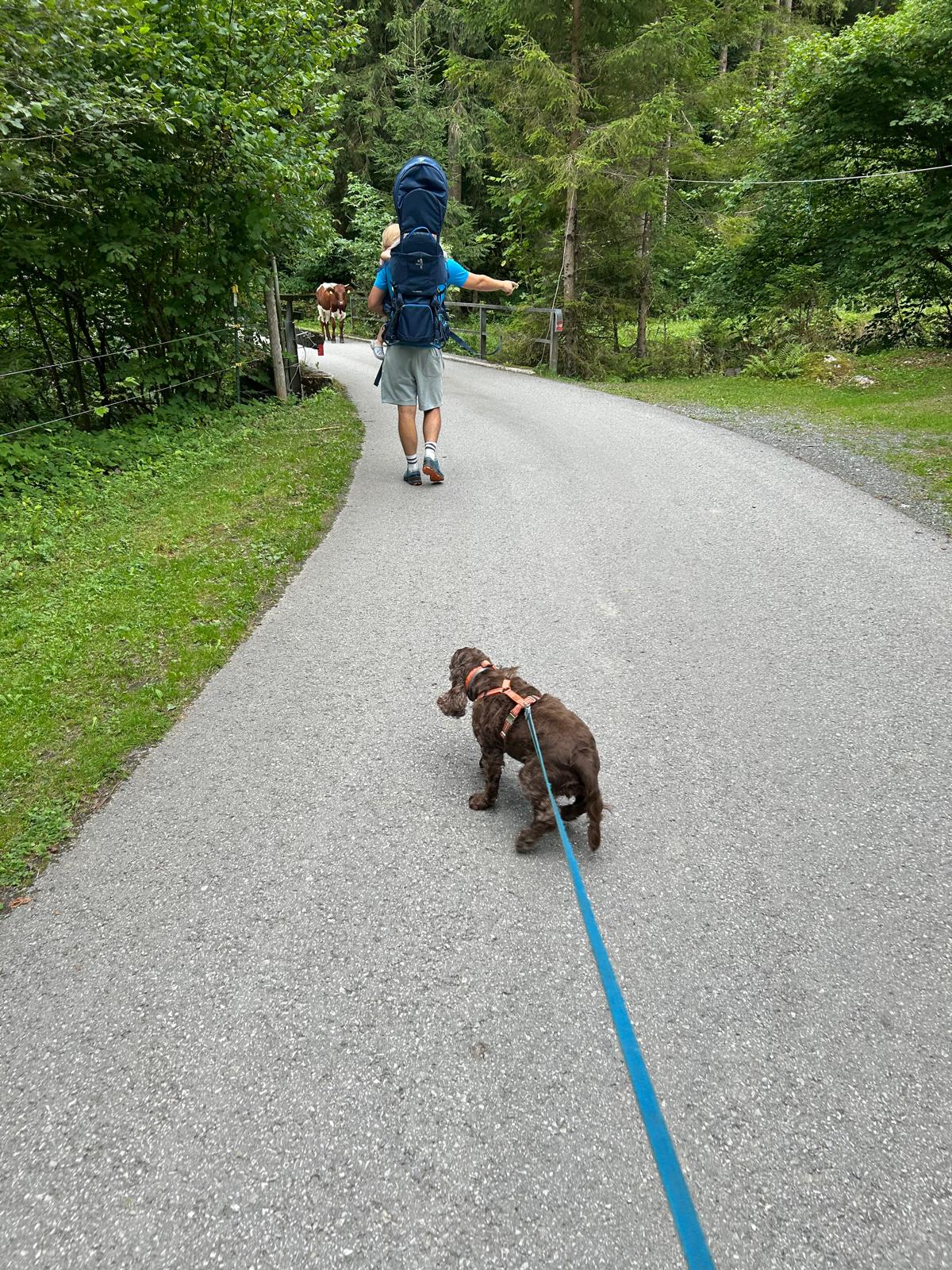 Foto 2 de la ruta de Bikemap "Molzbichl nach Molzbichl" Foto 2 de la ruta de Bikemap "Molzbichl nach Molzbichl"