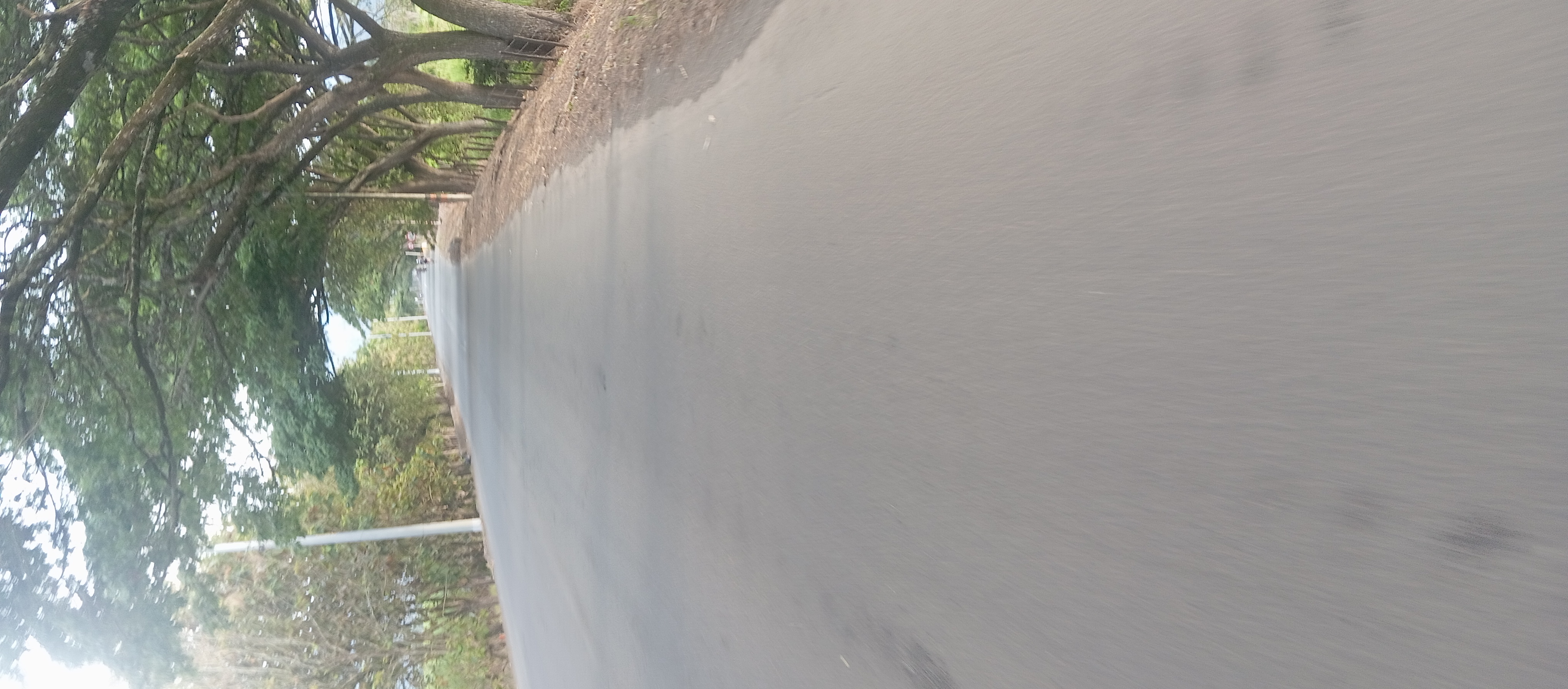 rio frío