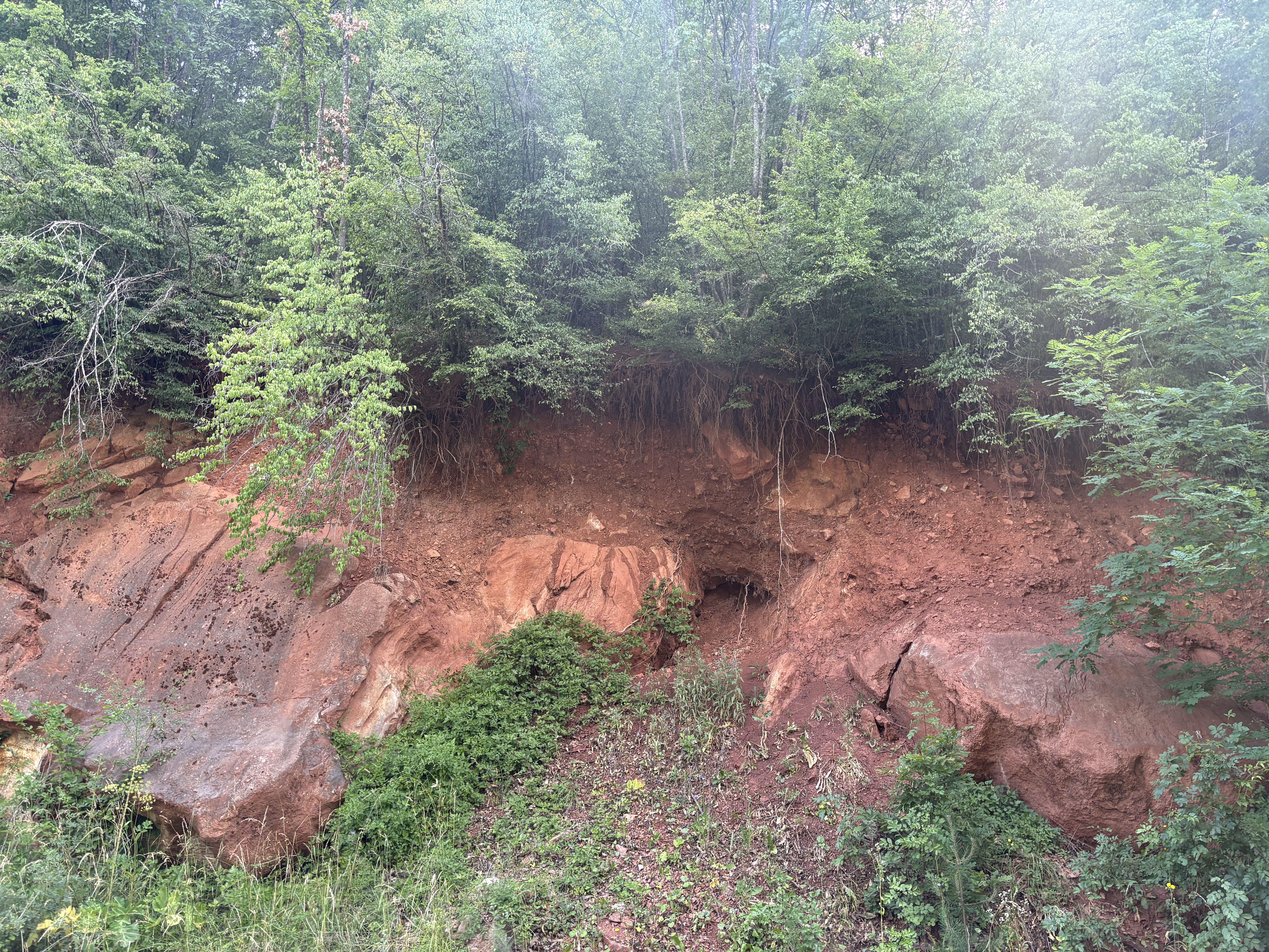 Save Kovačevića, Pirot to Save Kovačevića, Pirot