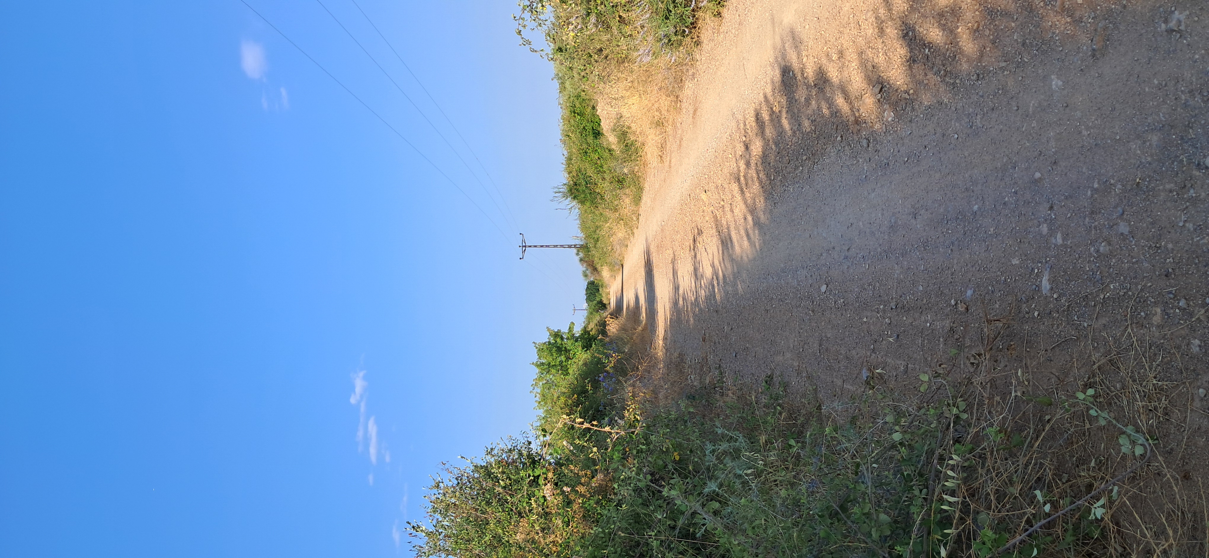 Kırkgöz