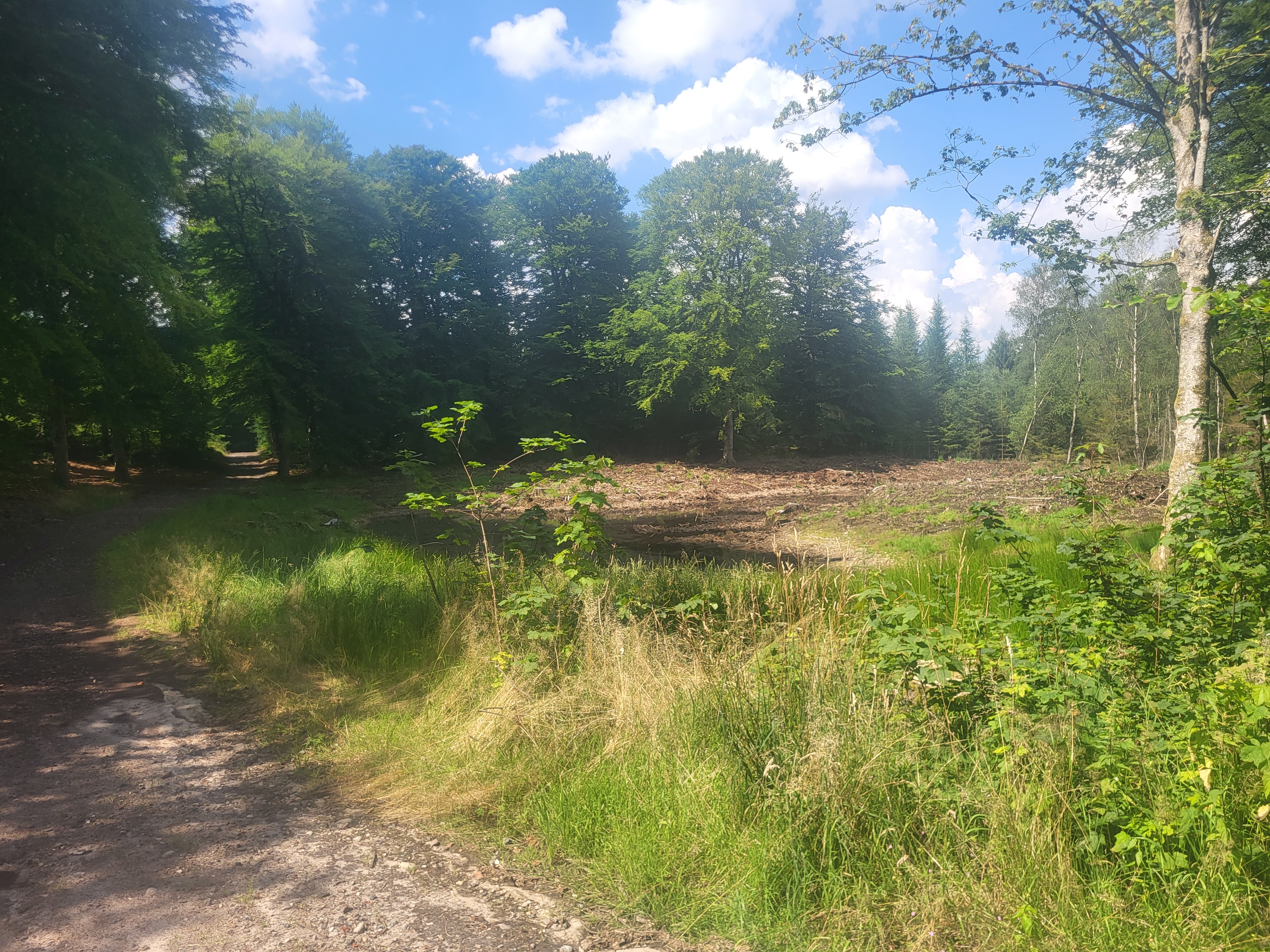 Løgstør to Skødstrup 18/7-25