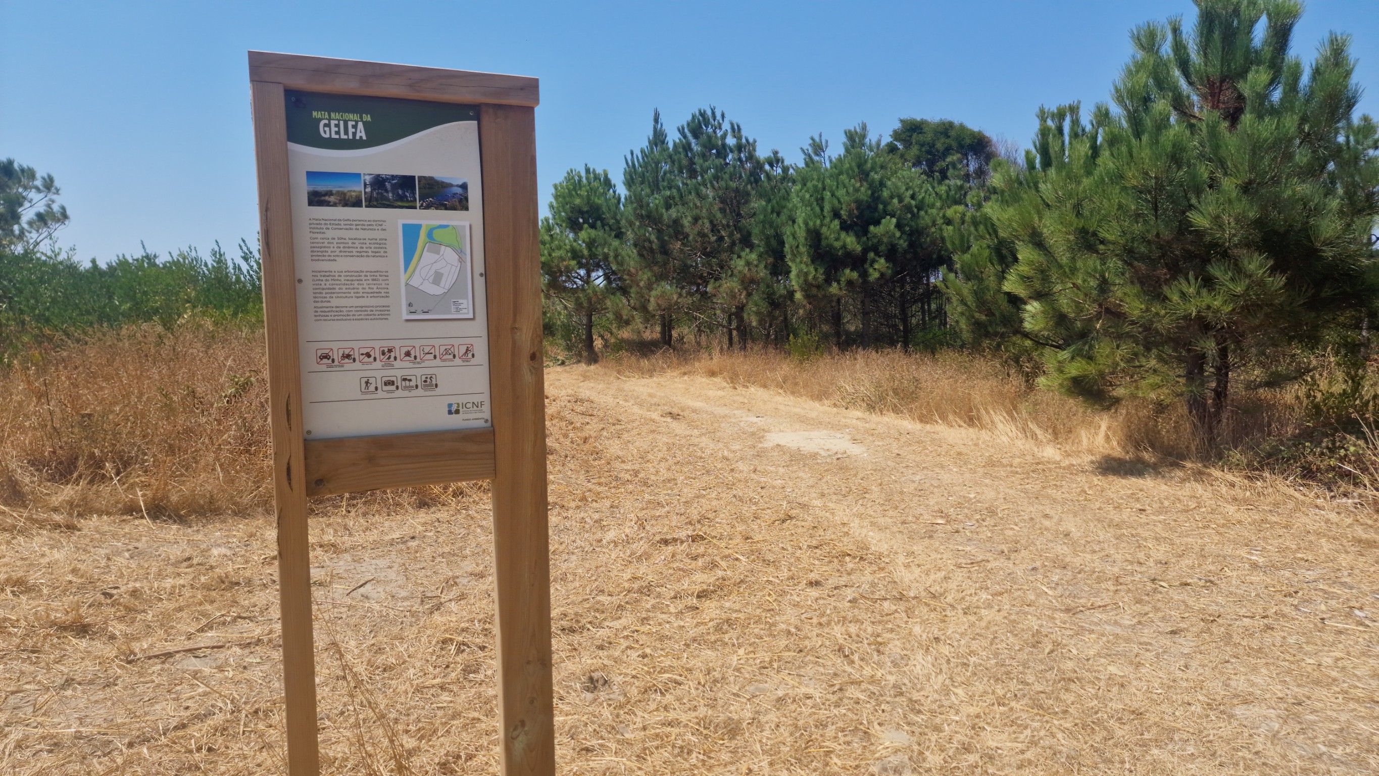 Foto 8 del percorso Bikemap "Avenida do Cabedelo nach Rua Conselheiro Lopes da Silva"