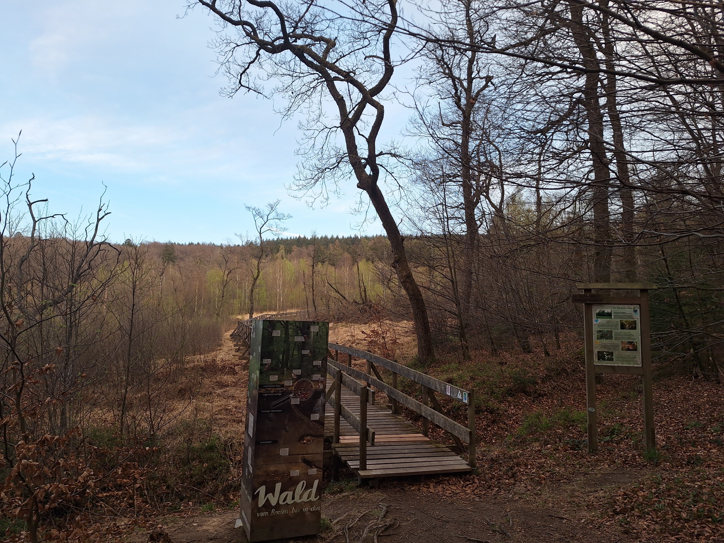 Moorsteeg Runde 🌿 Ortelsbruch