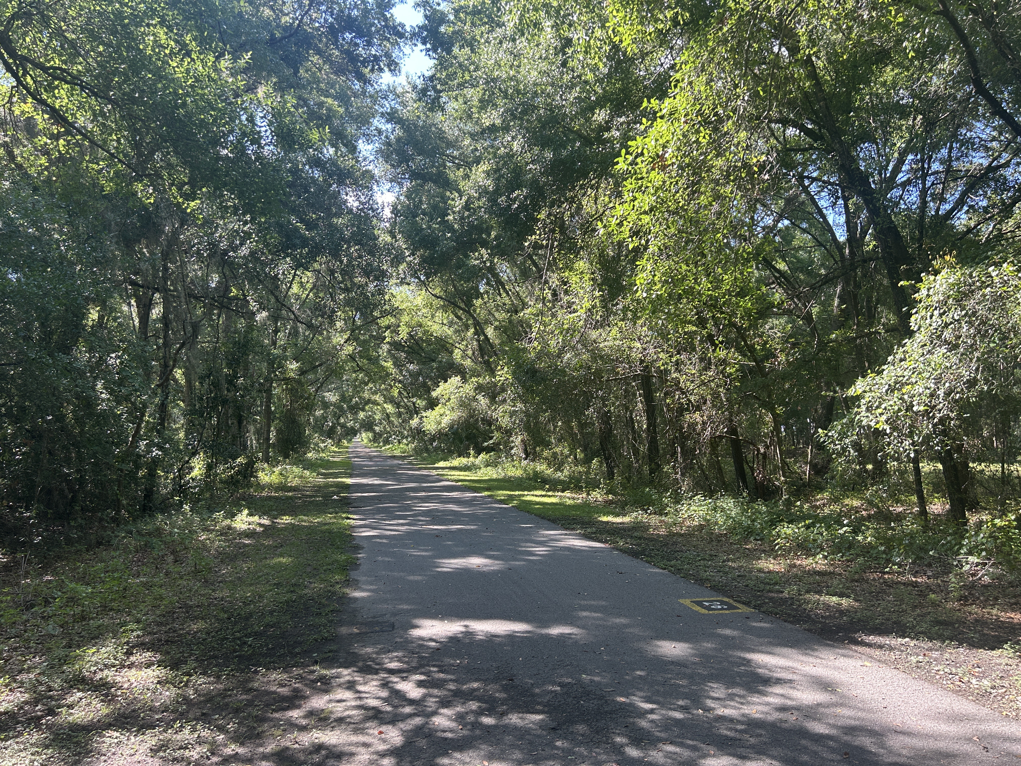 Withlacoochee State Trail, Brooksville to Dr Martin Luther King Jr Ave, Inverness