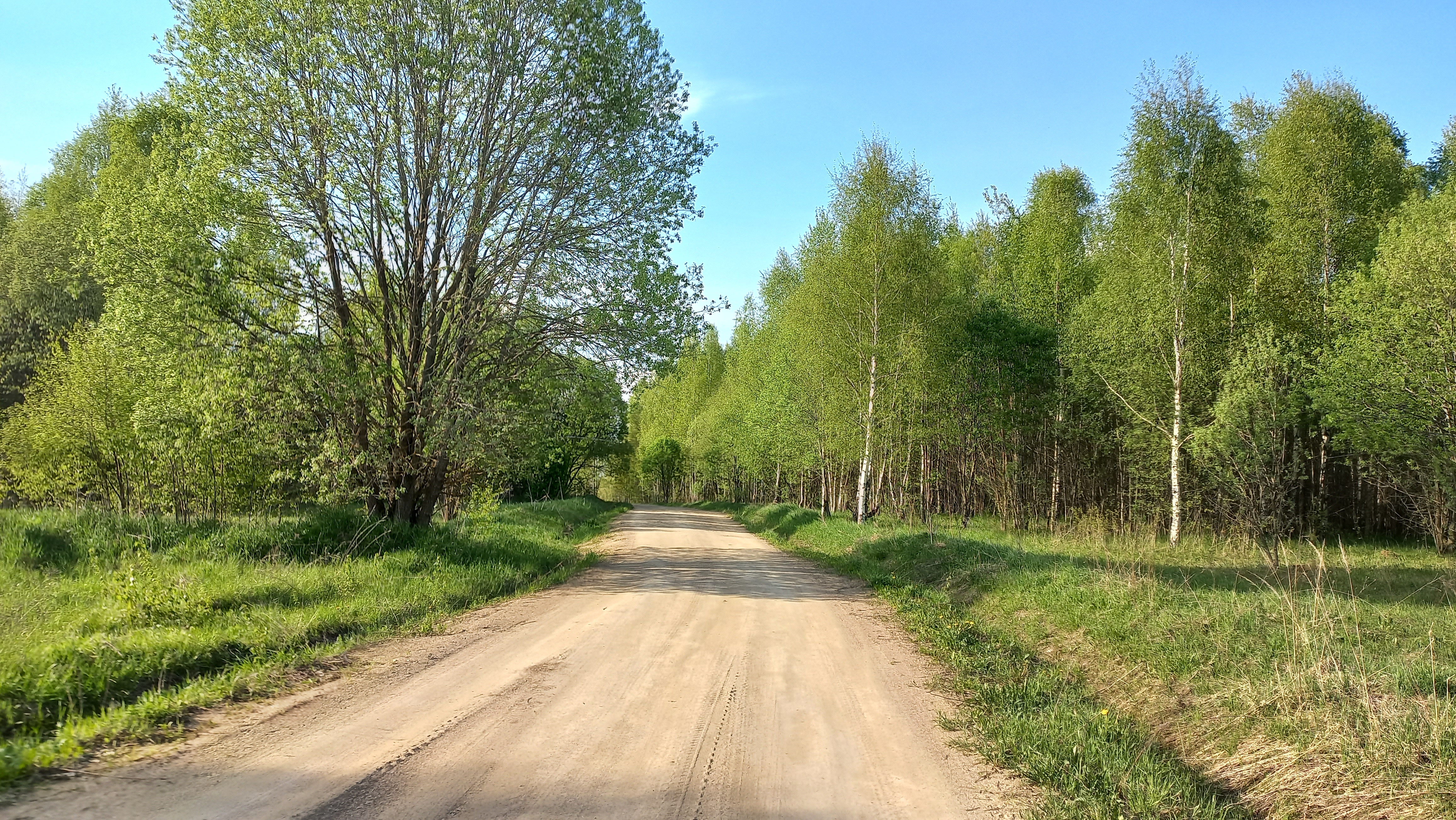 Photo 7 of the Bikemap route "Переславль - Милитино и обратно"
