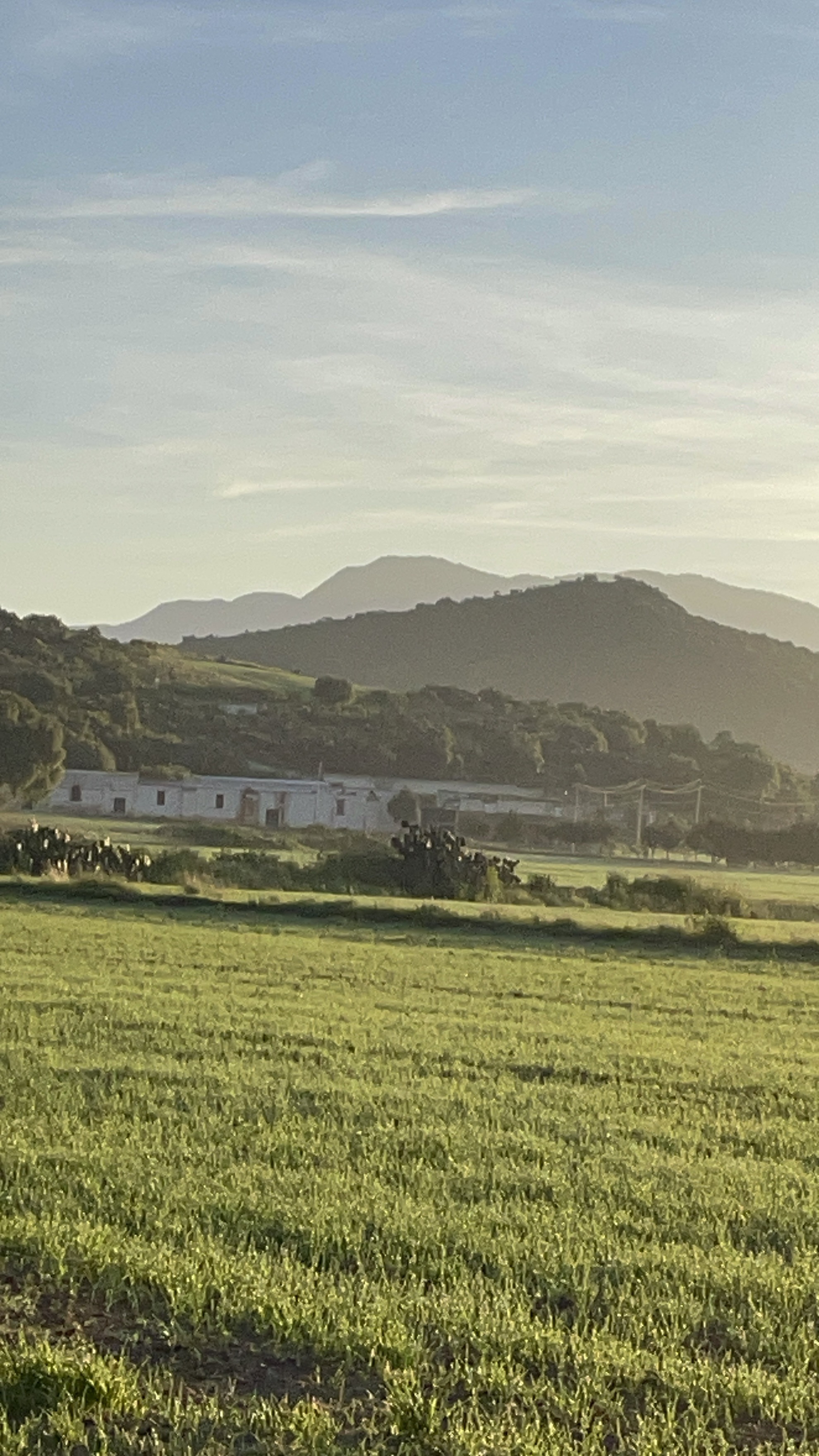 Foto 7 der Bikemap-Route "Emiliano Zapata a Emiliano Zapata"