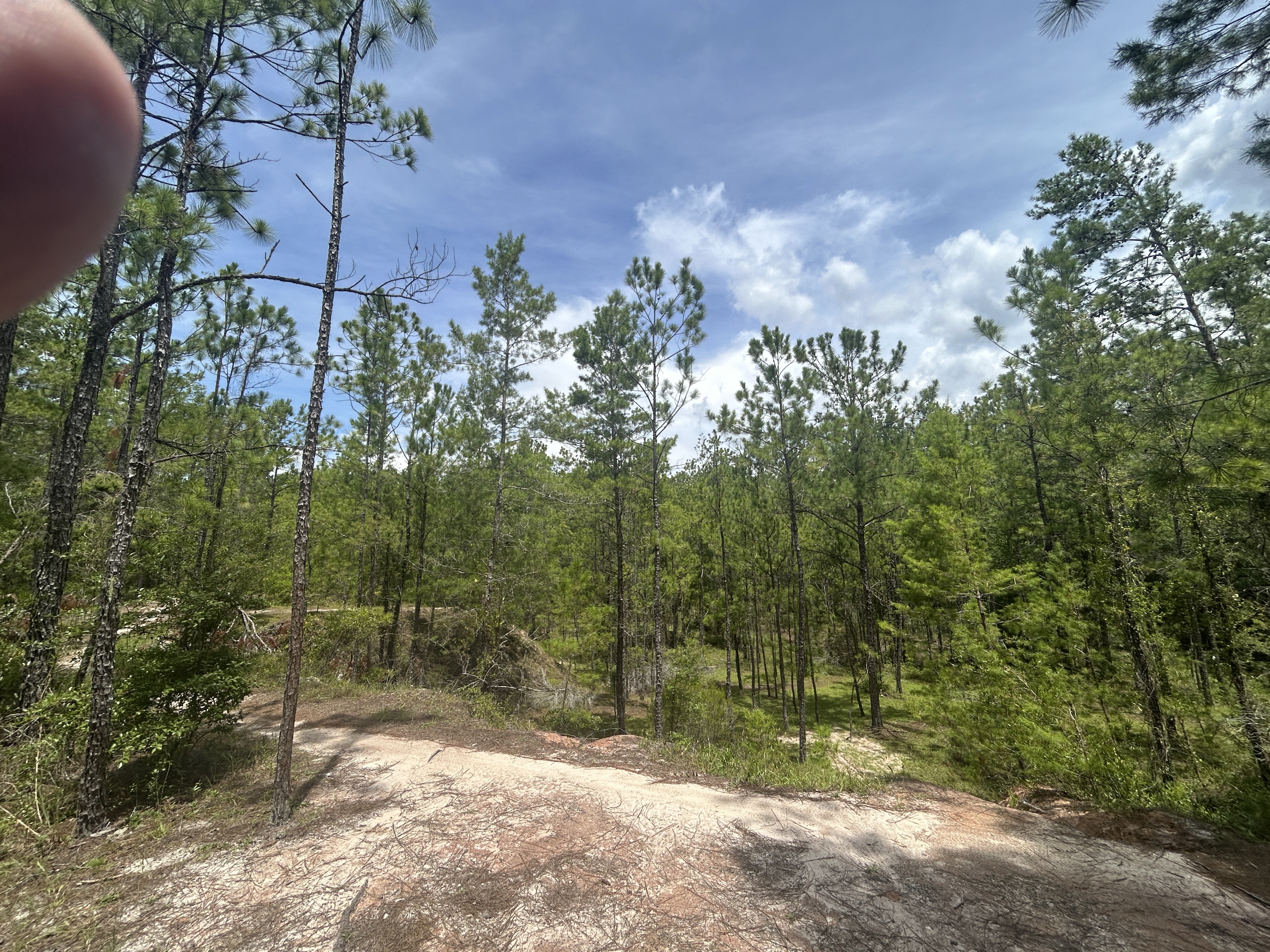 Florida National Scenic Trail, Ocala to SW Highway 200, Dunnellon