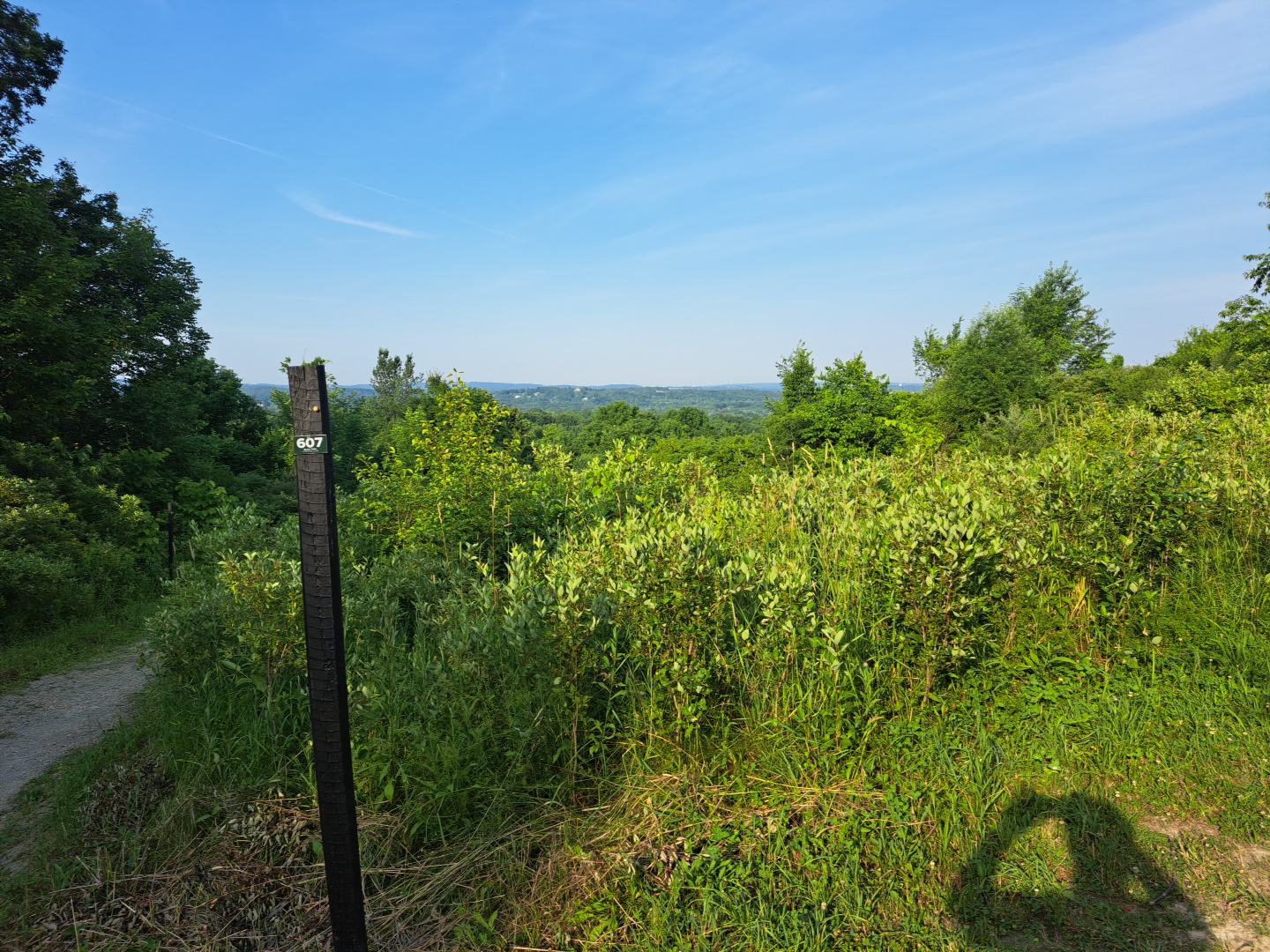 Green Lakes Park Terrace to Huntleigh Avenue
