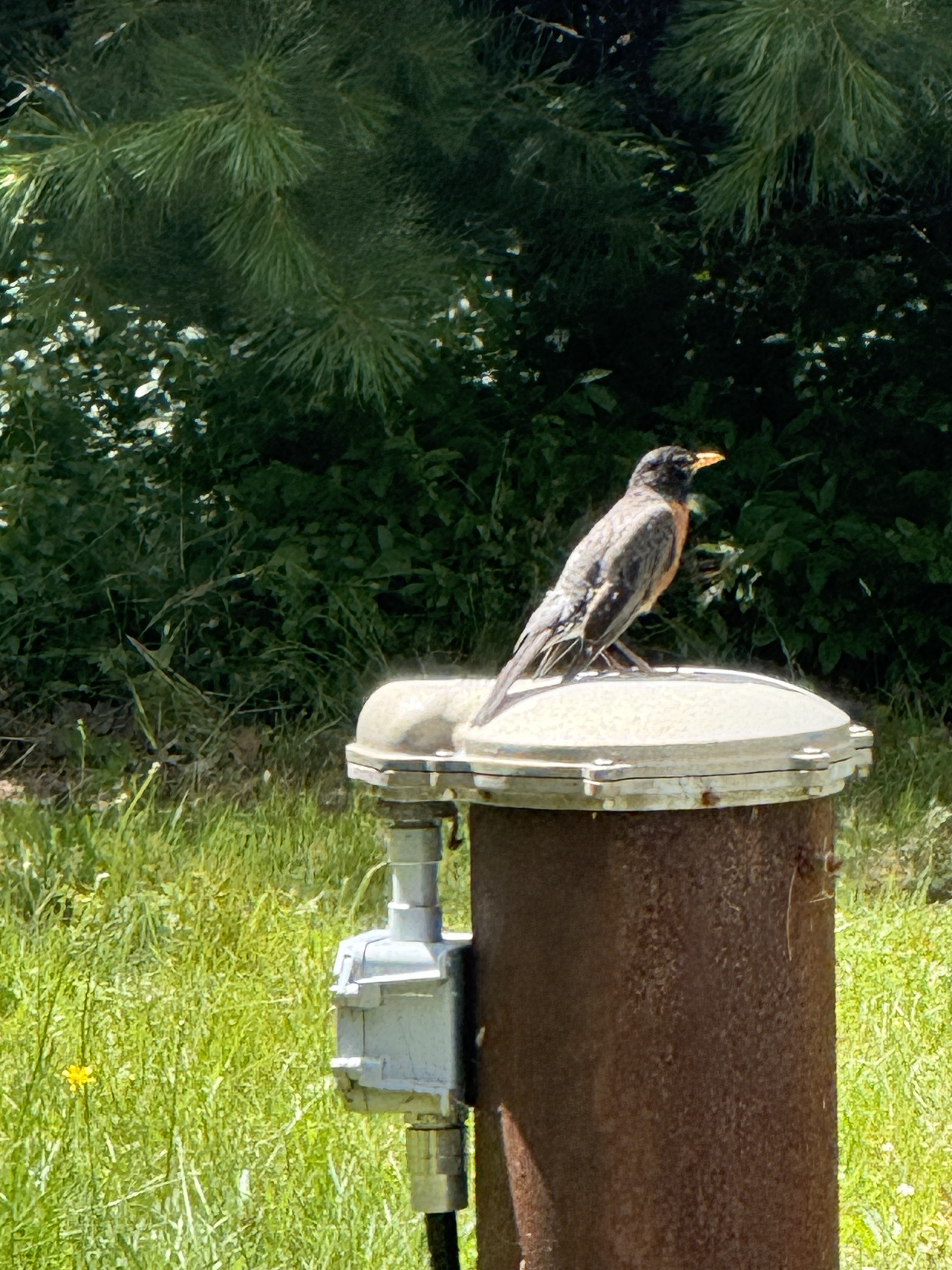 Kouchibouguac National Park, St-Louis to Kouchibouguac National Park, St-Louis