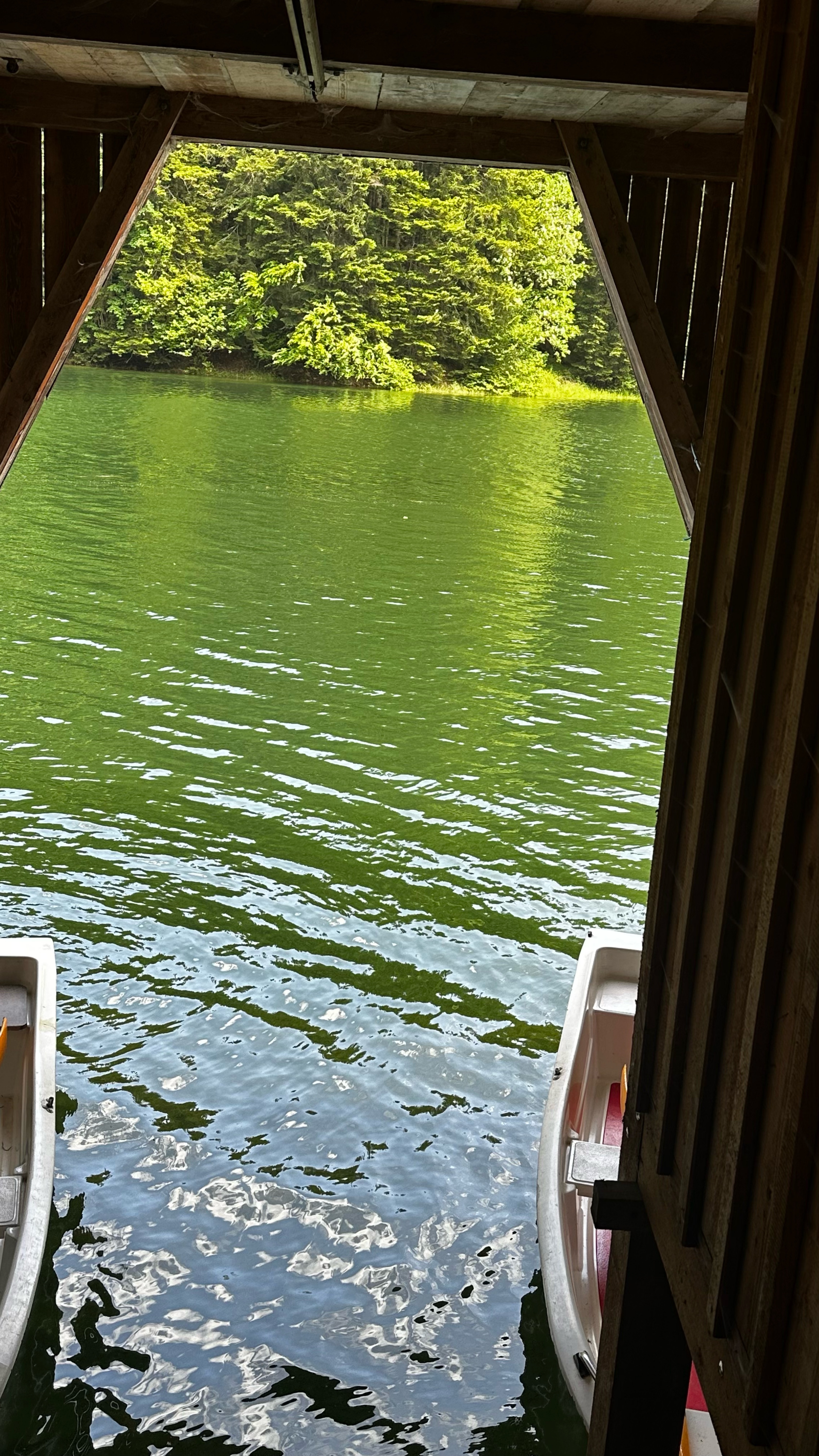 Tauplitz - Salzer Stausee