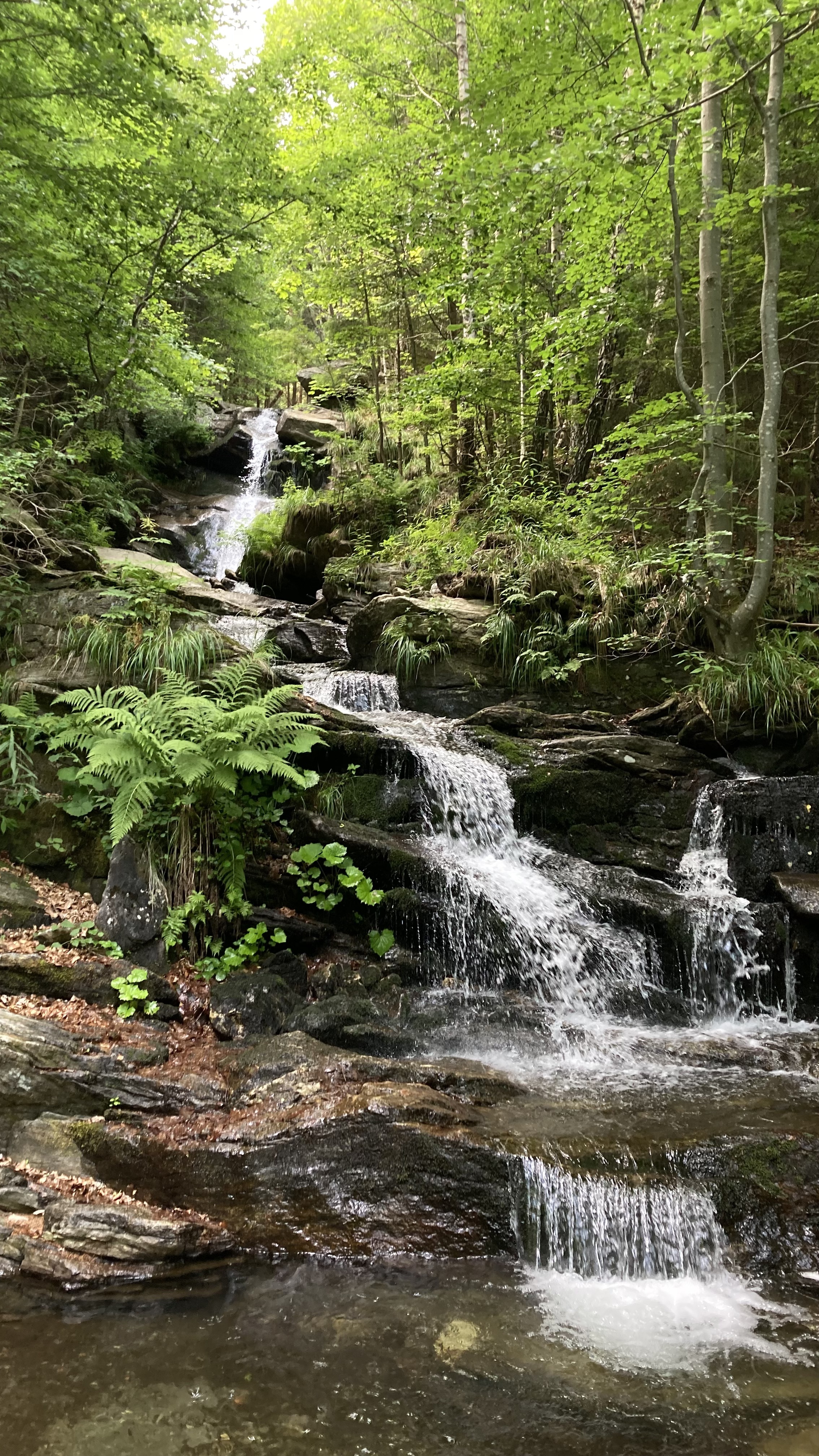 50.103, 17.137 až 50.103, 17.137