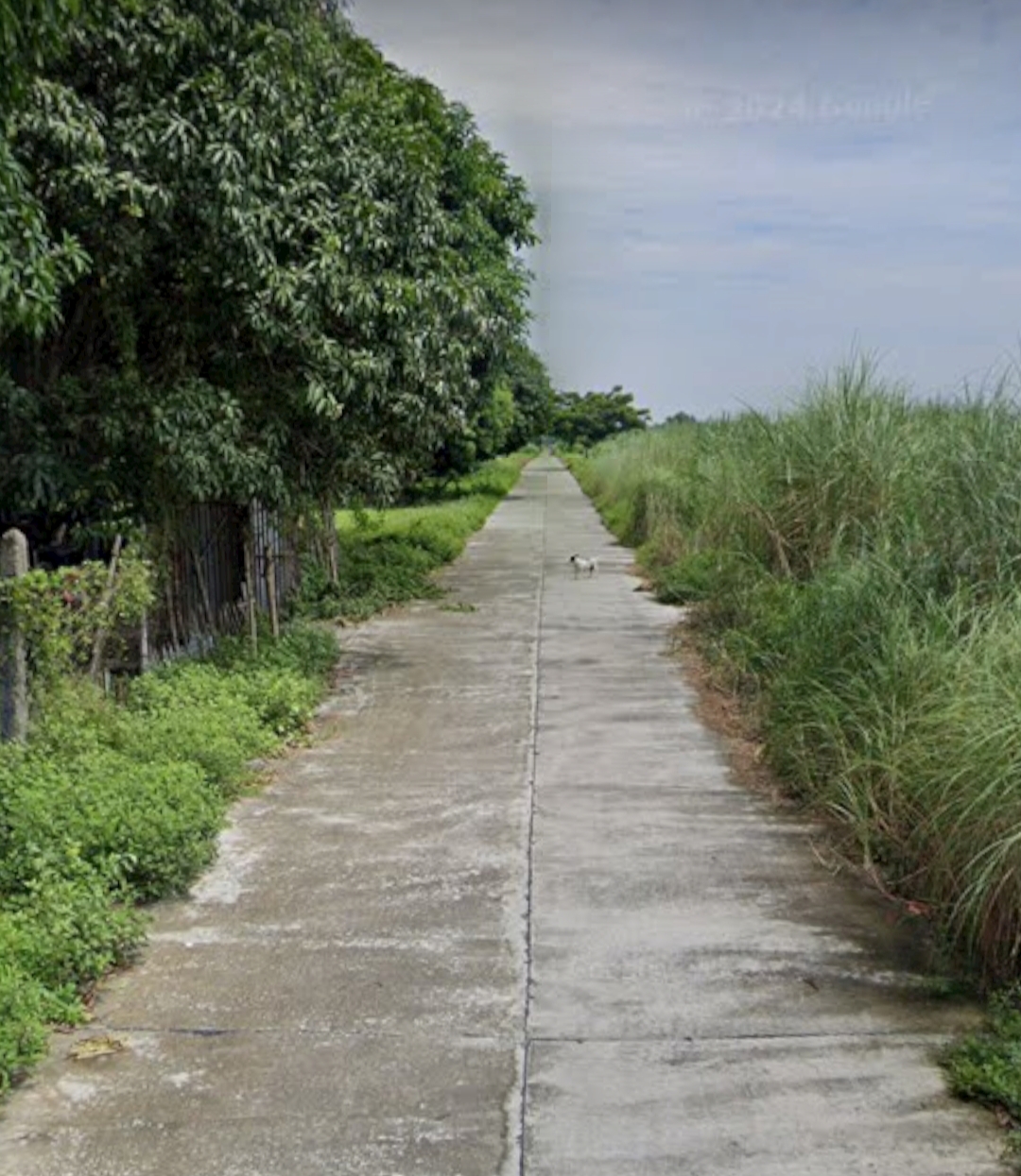 balsa - apulid ( farm - mc Arthur hway- brgy. road route)