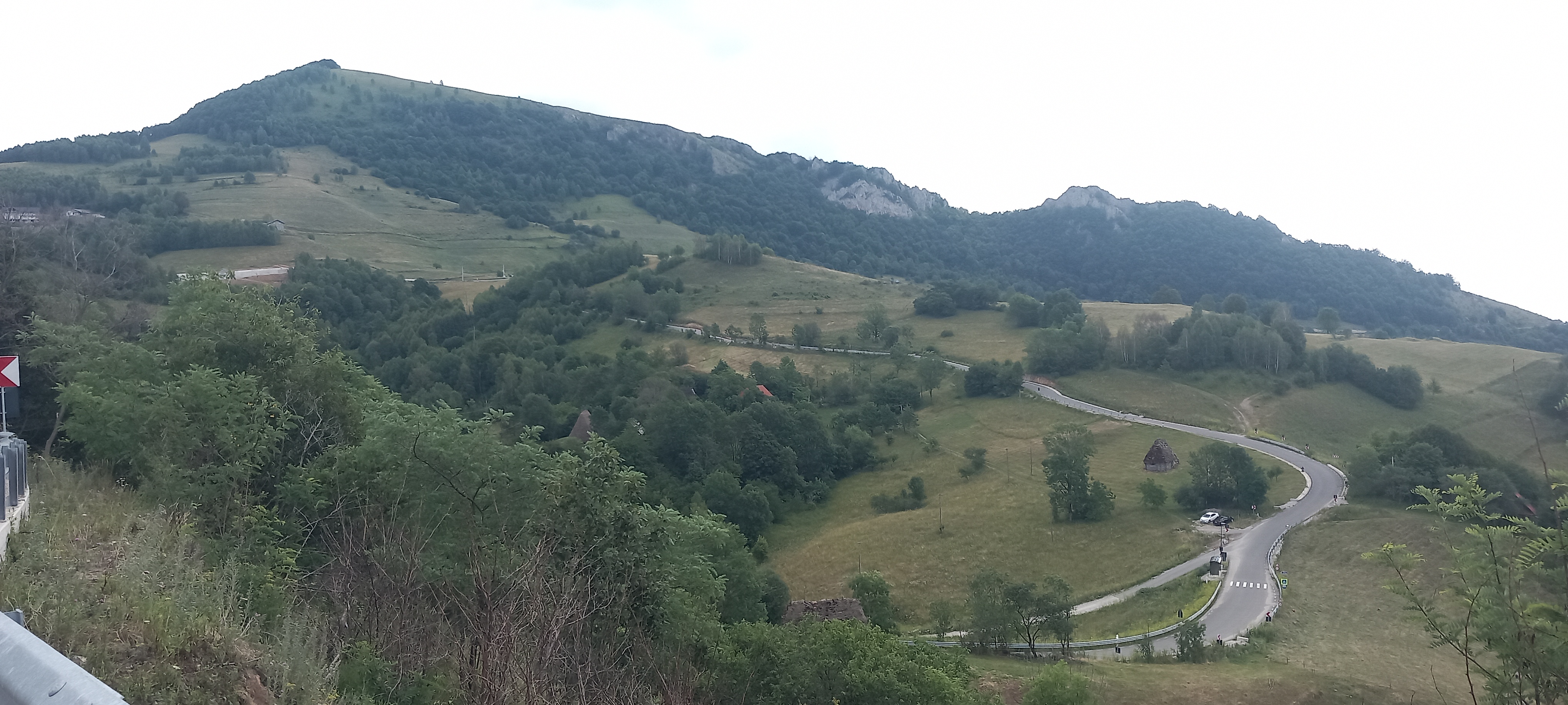 TransApuseana - Florești AB