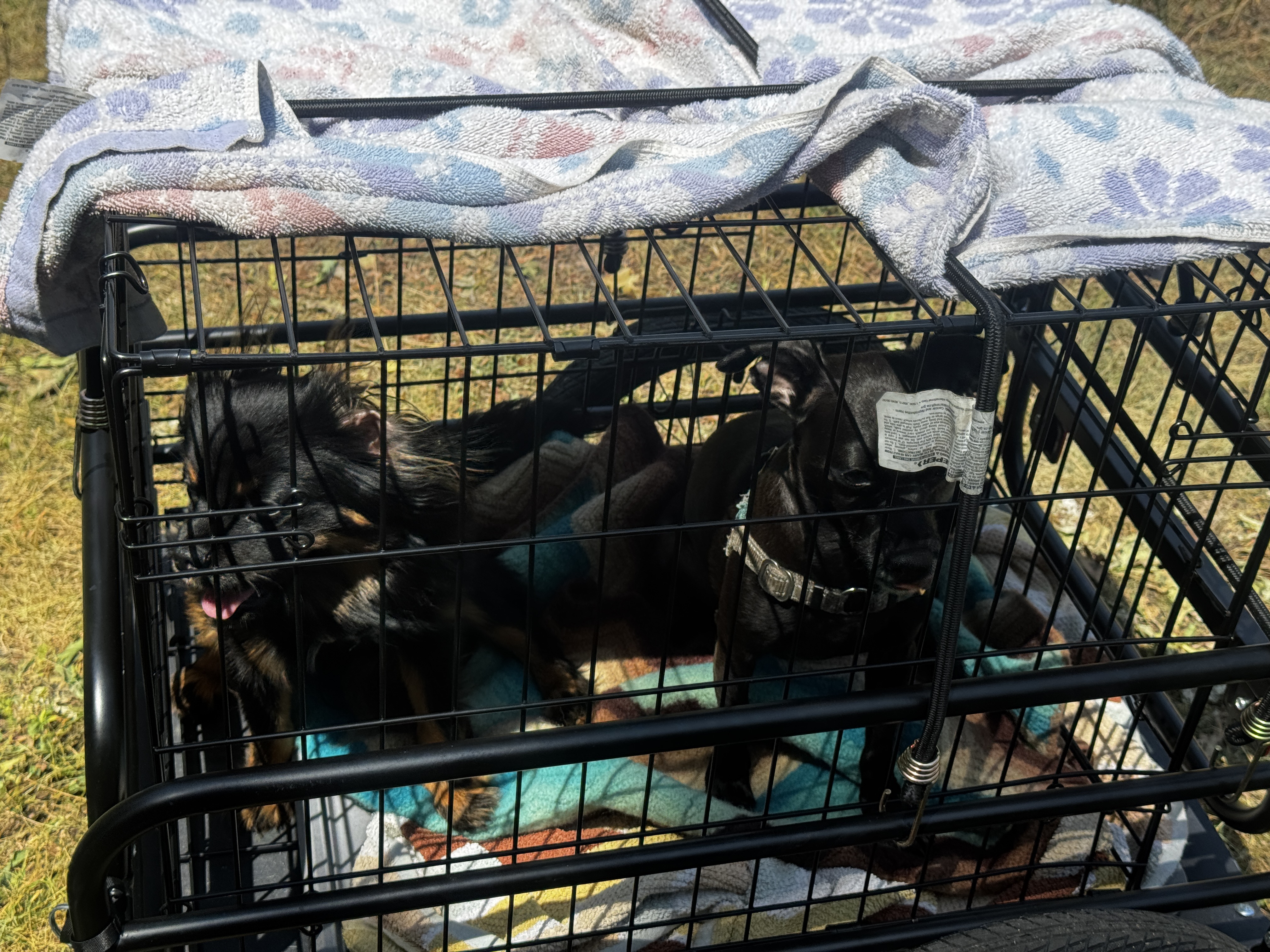 Spruce Pl, Minneapolis to Loring Park, Minneapolis