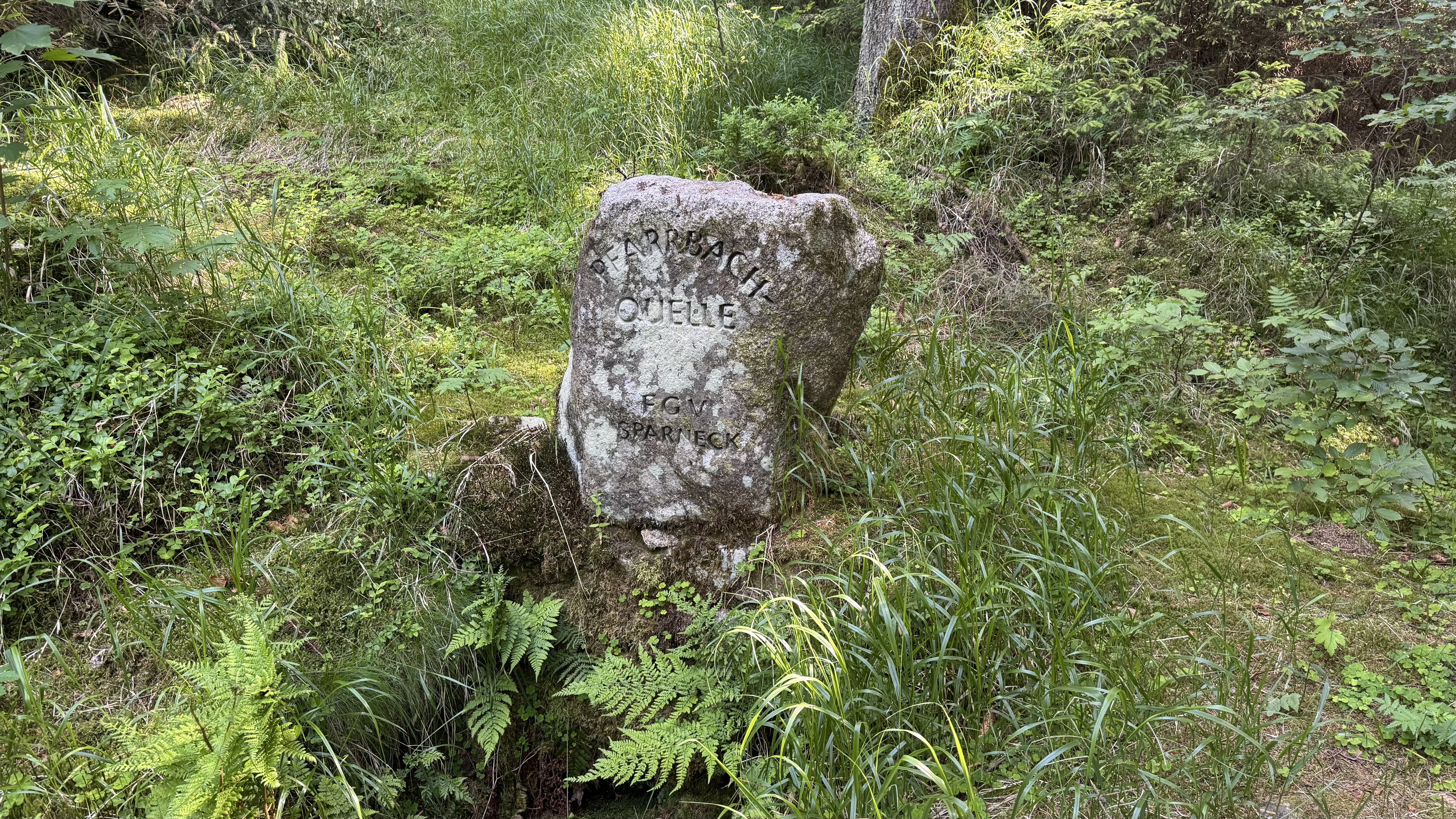 Schwarzenbach an der Saale nach Schwarzenbach an der Saale