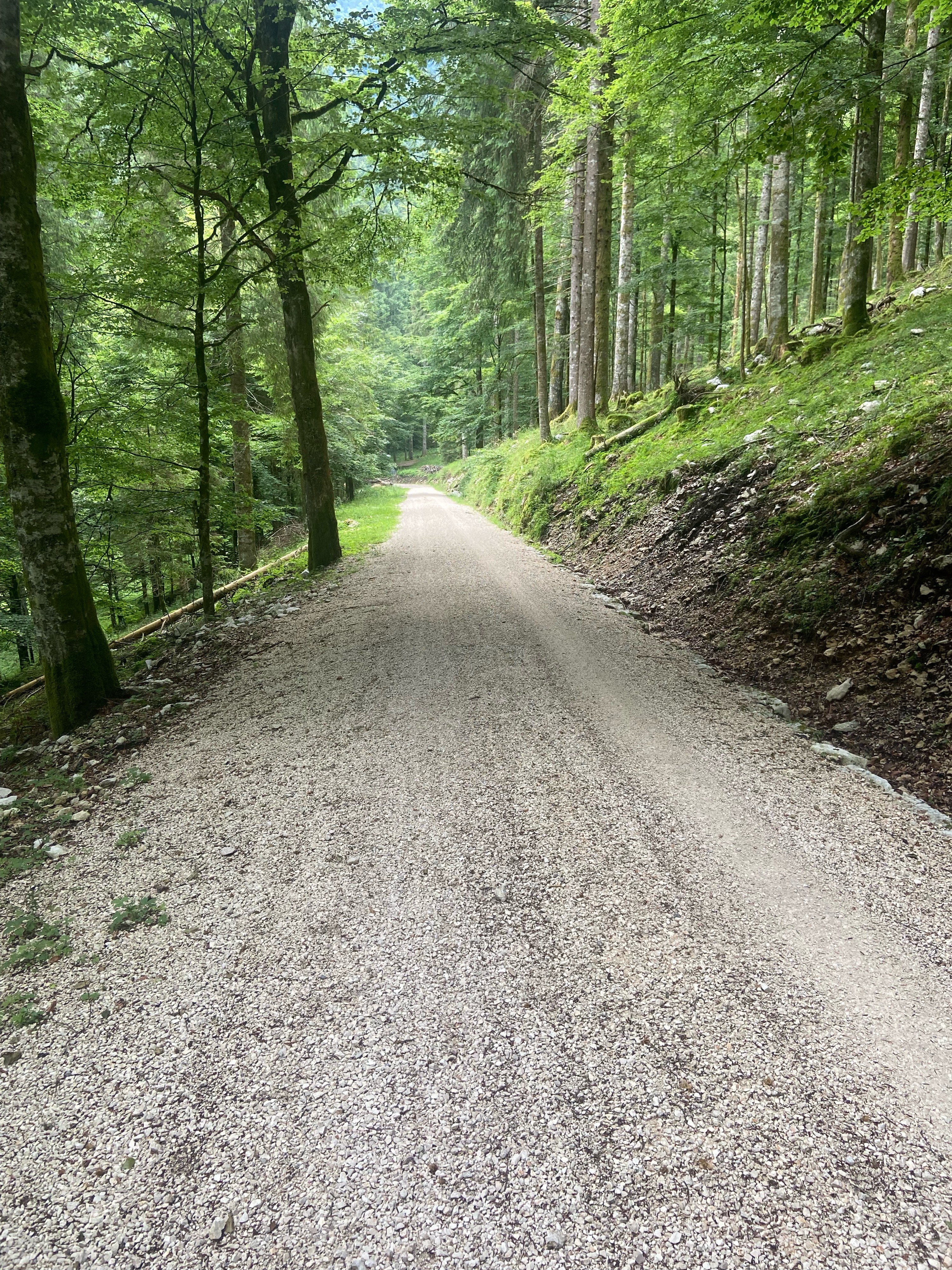 partenza da Crosetta Campon Mezzomiglio strada del taffarel Crosetta